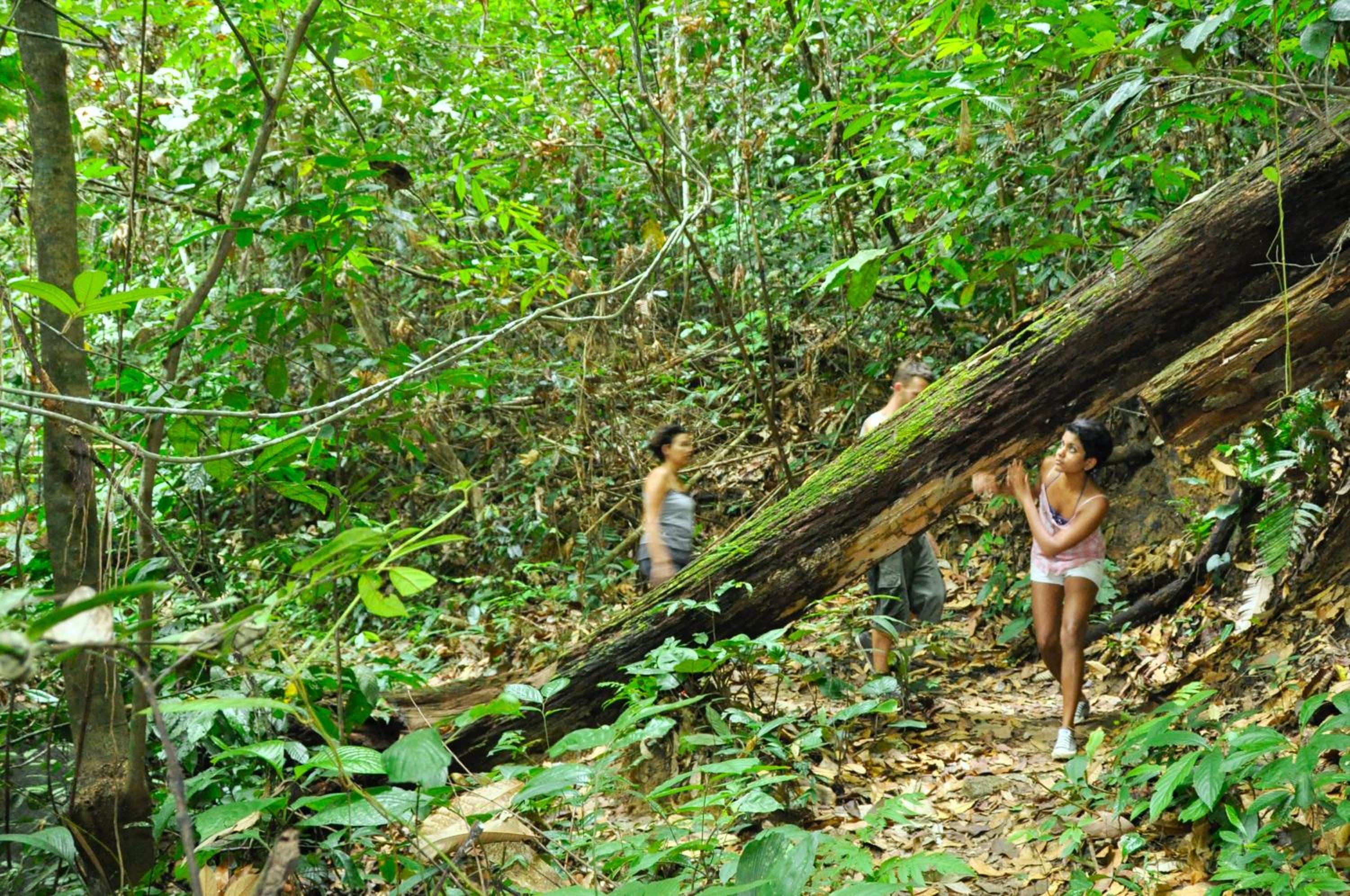 The Dusun