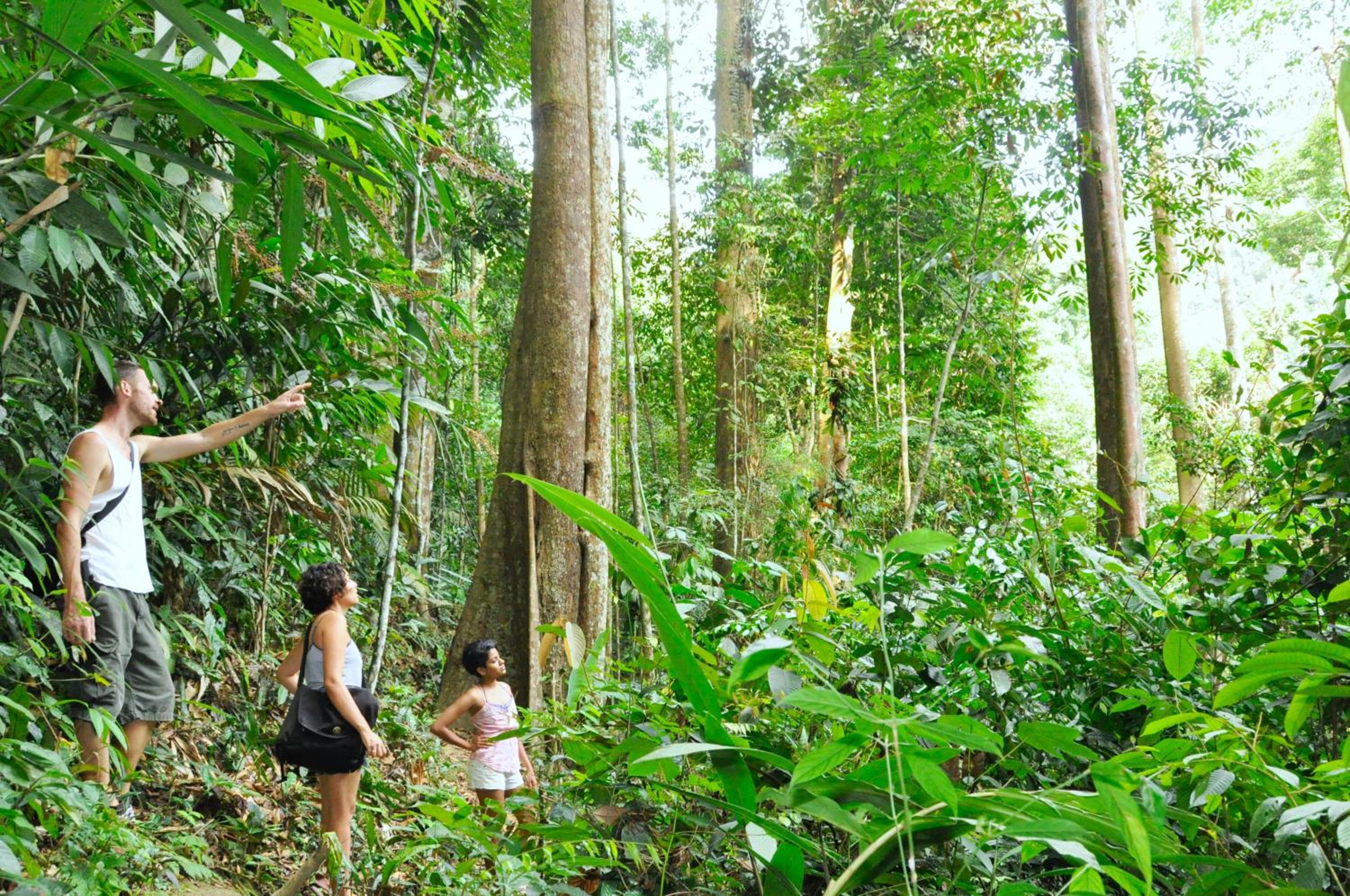 The Dusun