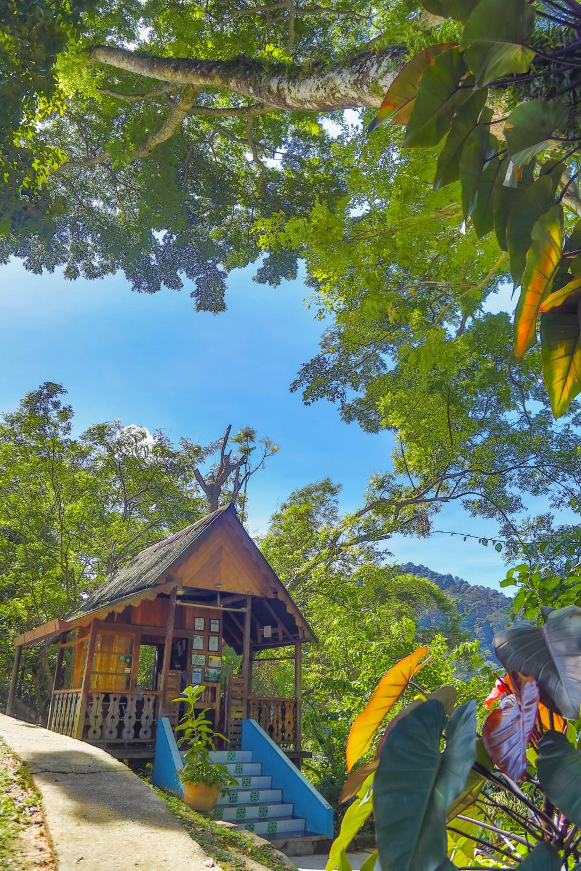 The Dusun