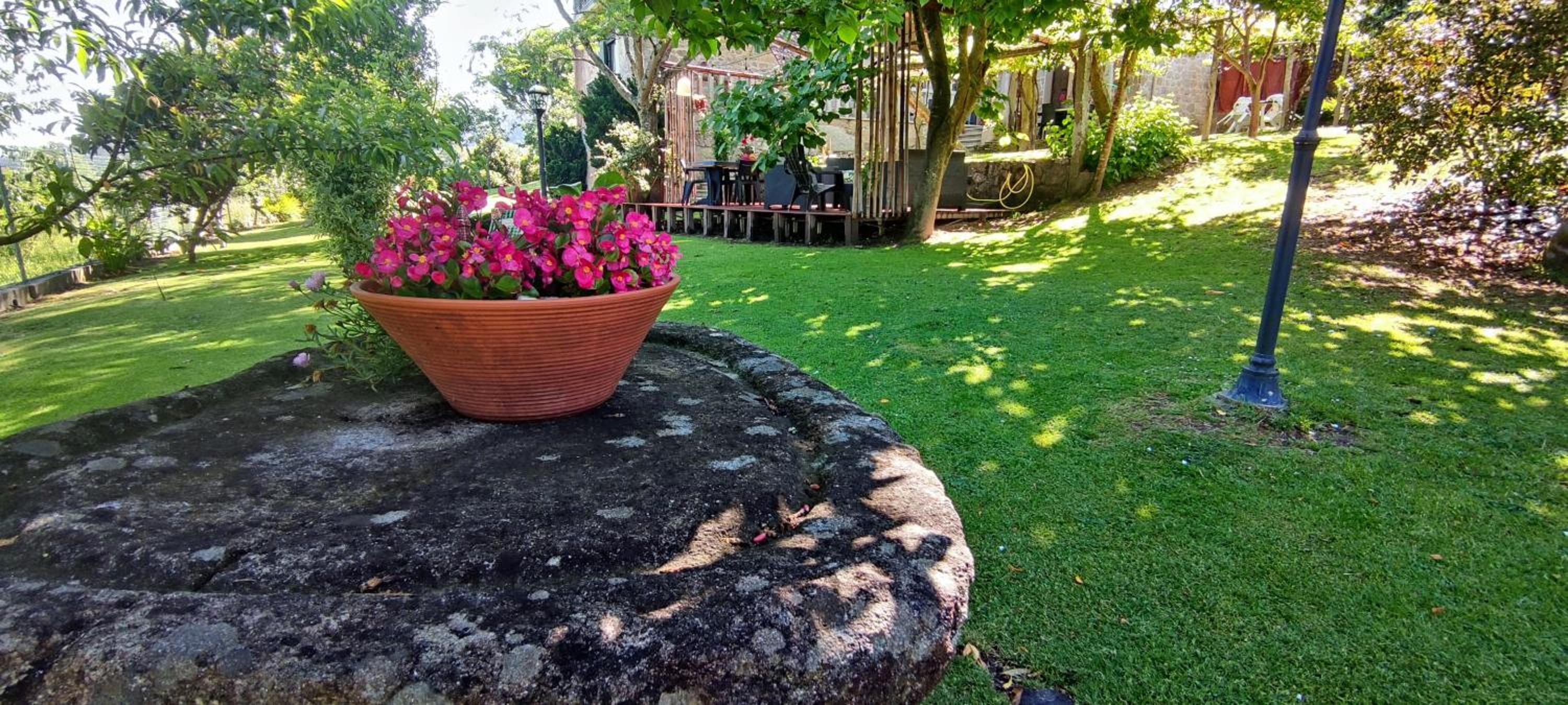 Casa Rural Os Carballos