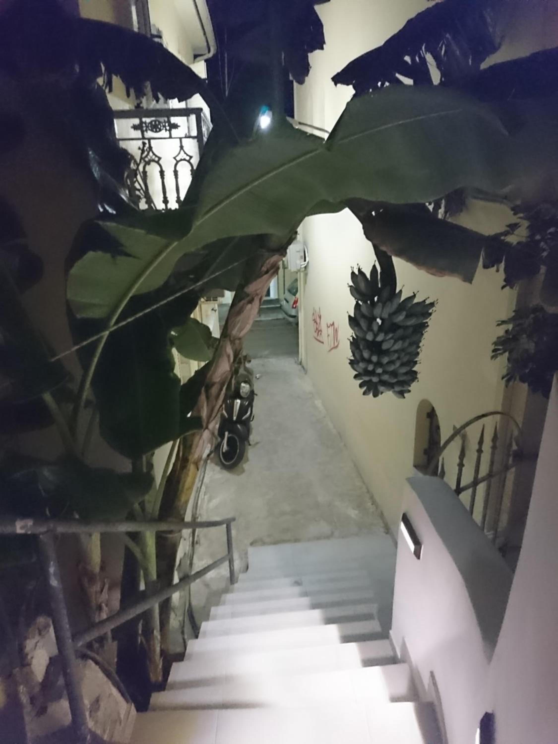 Le Sorelle - Studio ground floor apartment view 4