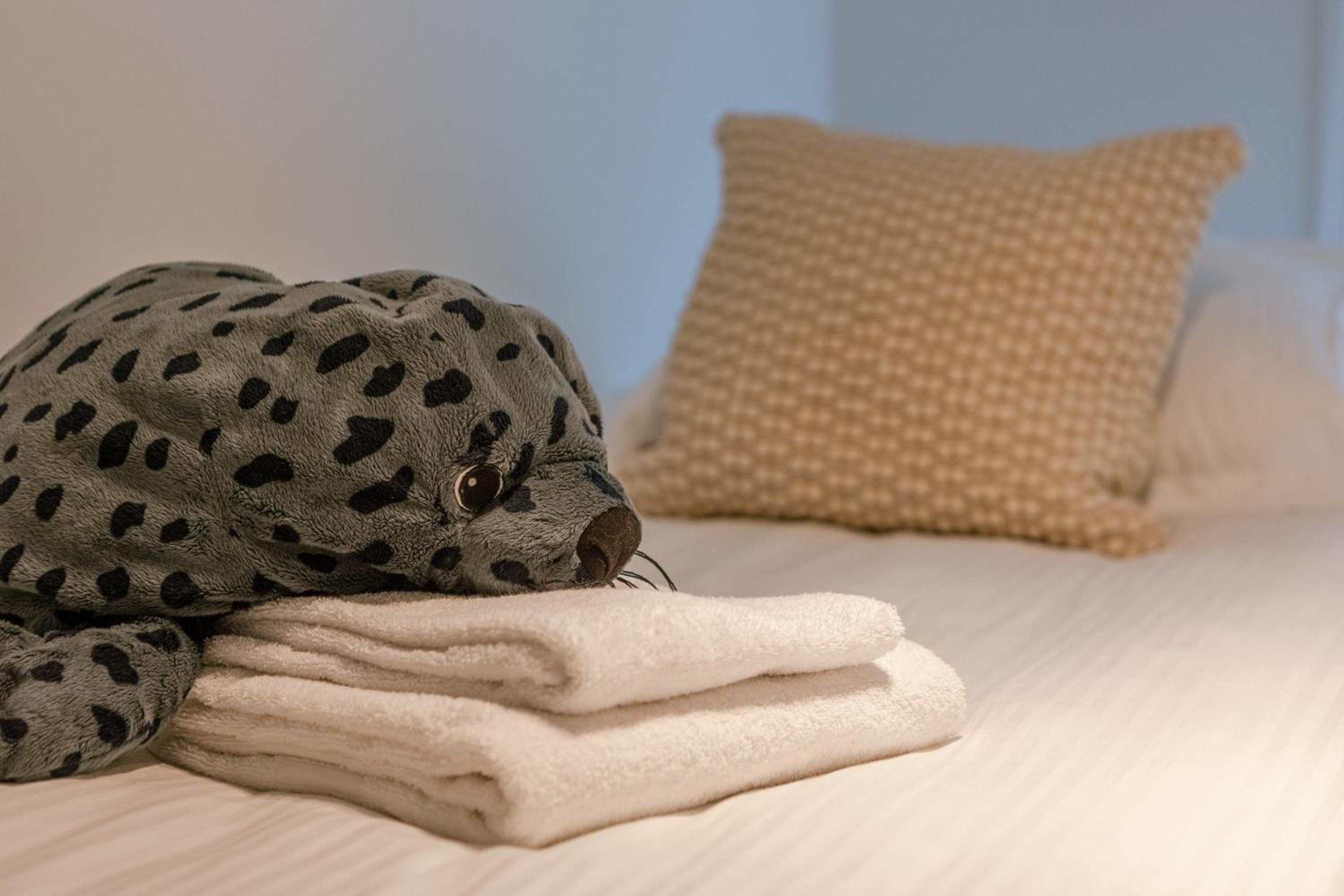 Beachside apartment for four at Knokke-Heist