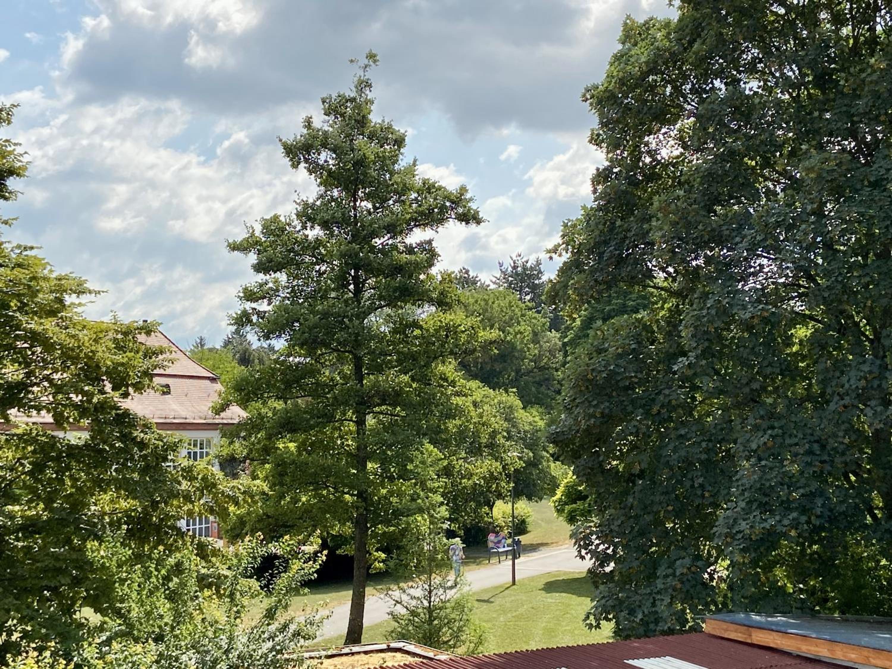 Idyllische Wohnung am Kurpark