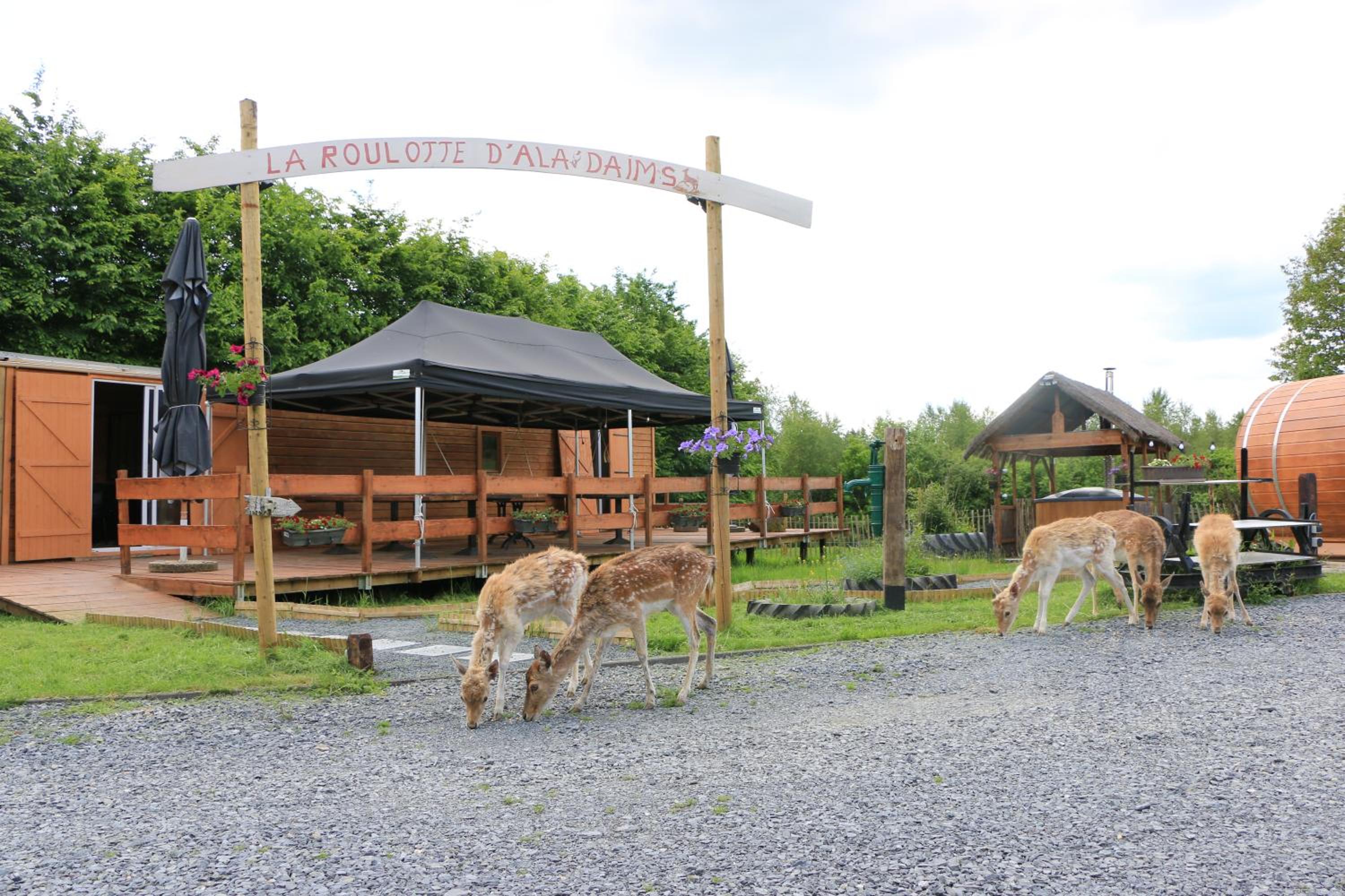 Hotel La Roulotte d'Ala-Daims