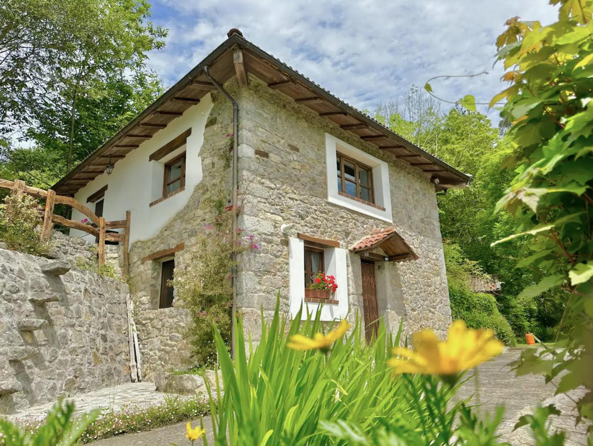 CANGAS DE ONIS RURAL HOUSE WITH VIEWs view 3