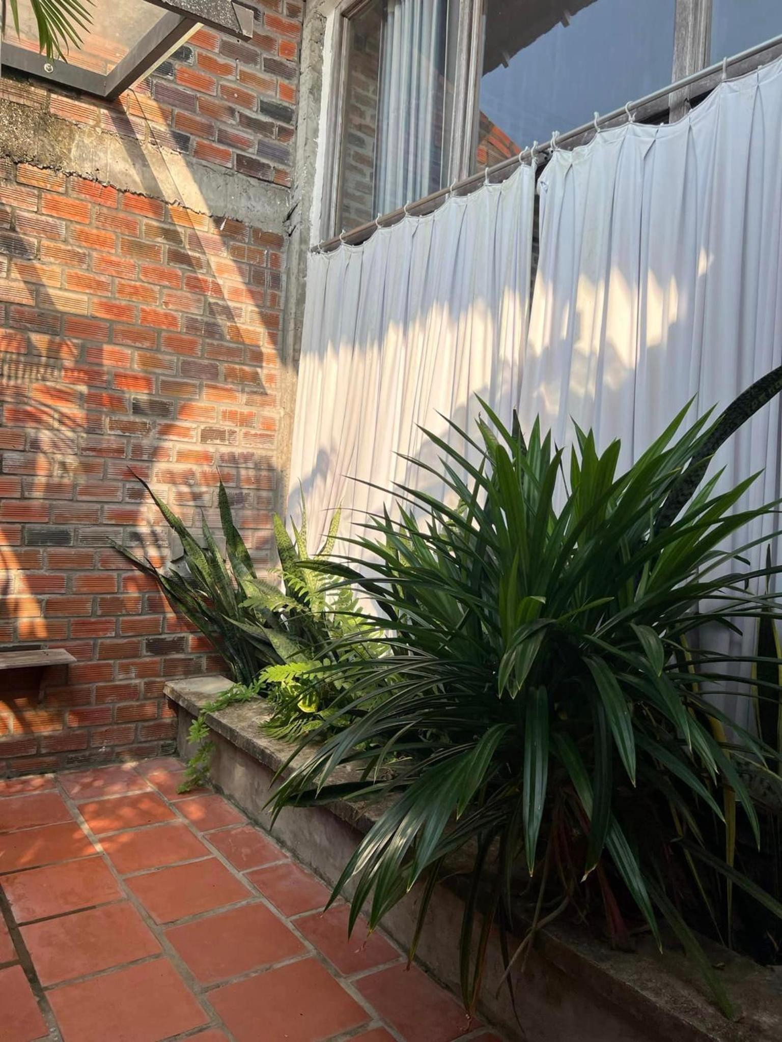 Út Trinh Bến Tre Homestay