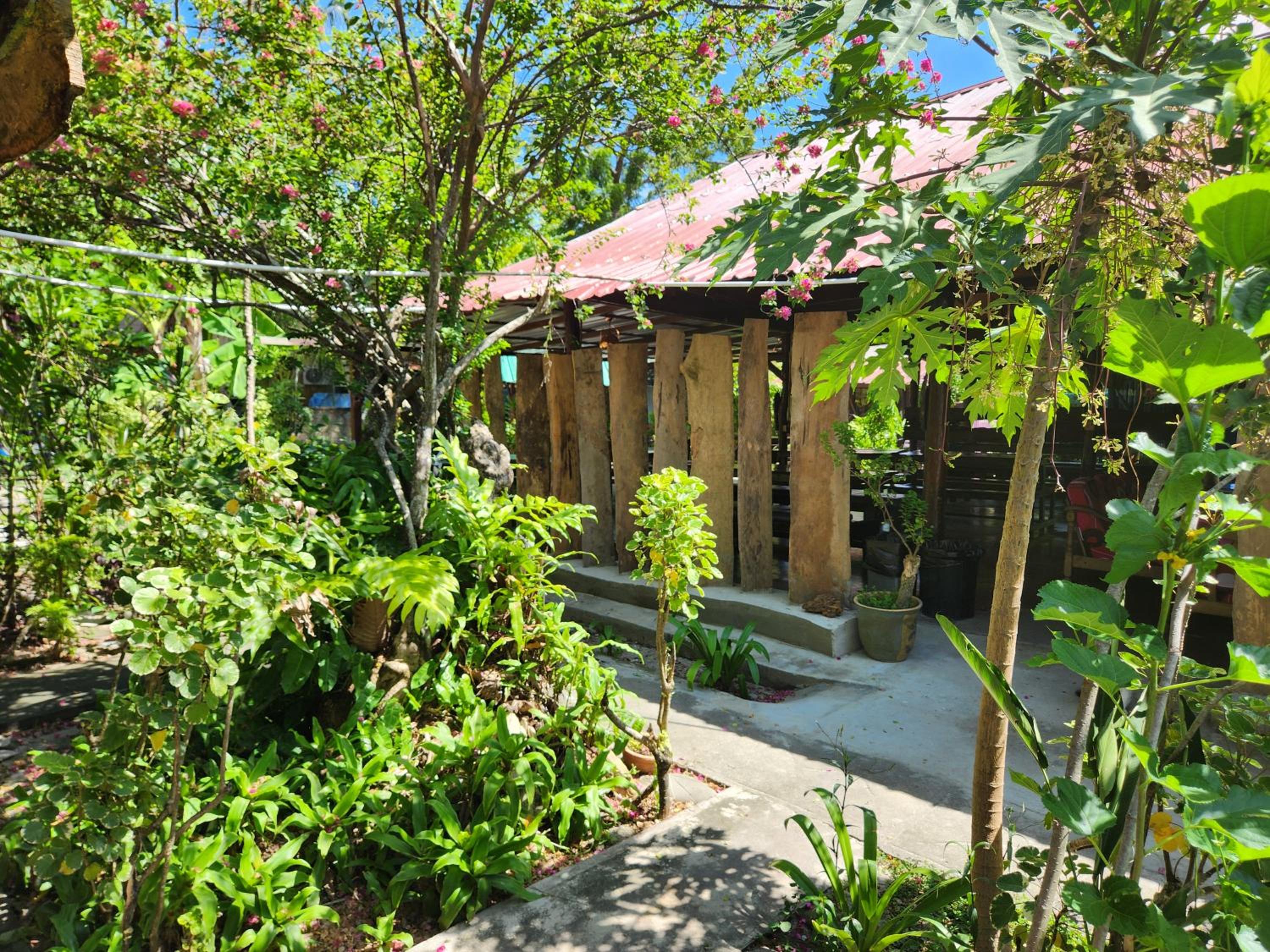 Gecko Guesthouse photo 2