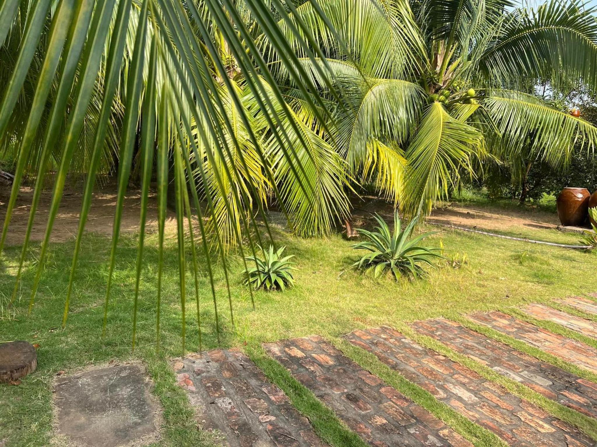 Út Trinh Bến Tre Homestay