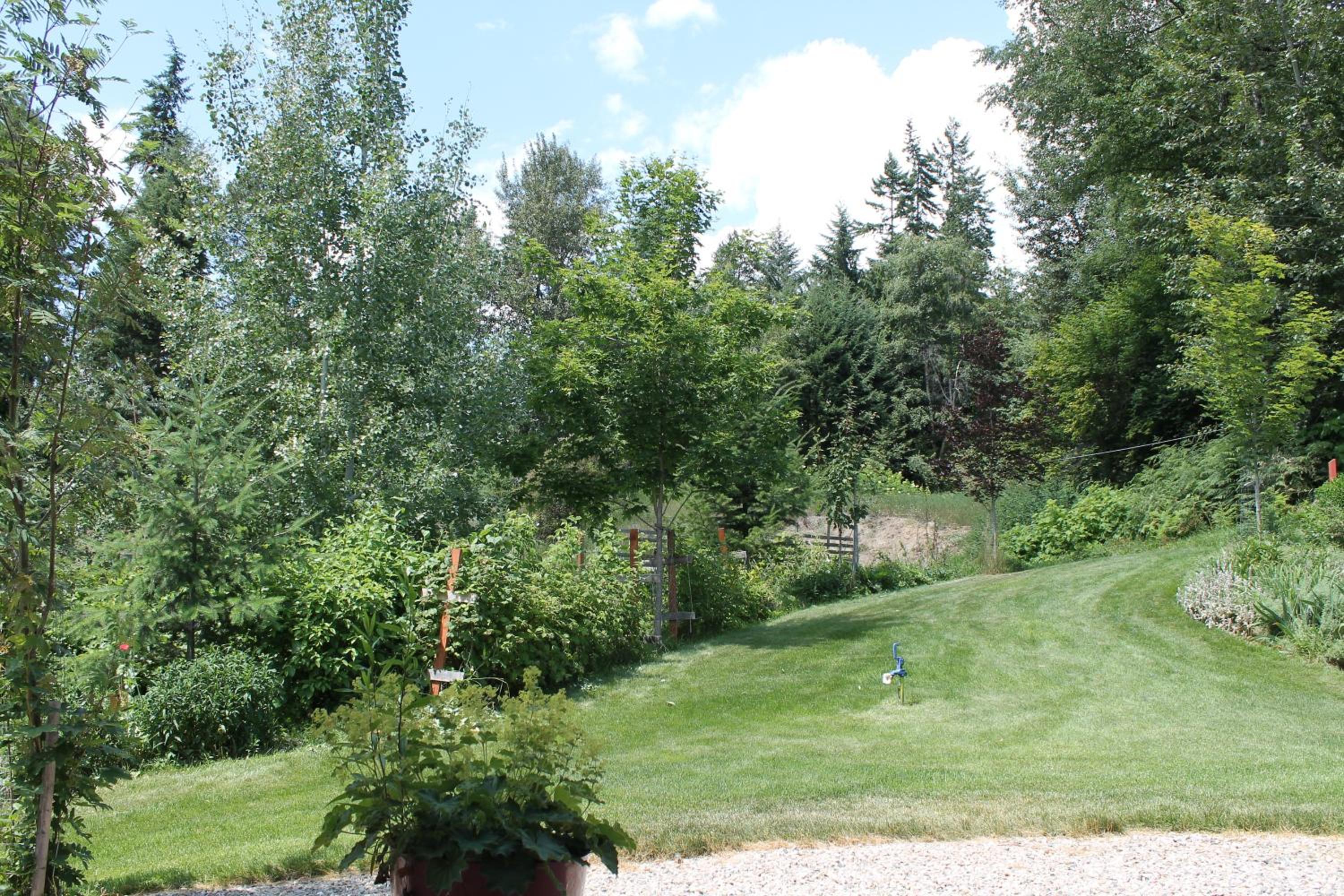 Windborne Bed & Breakfast