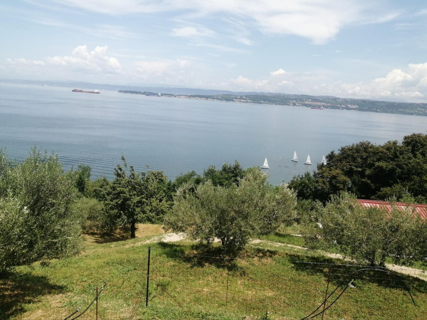 Apartma Panorama