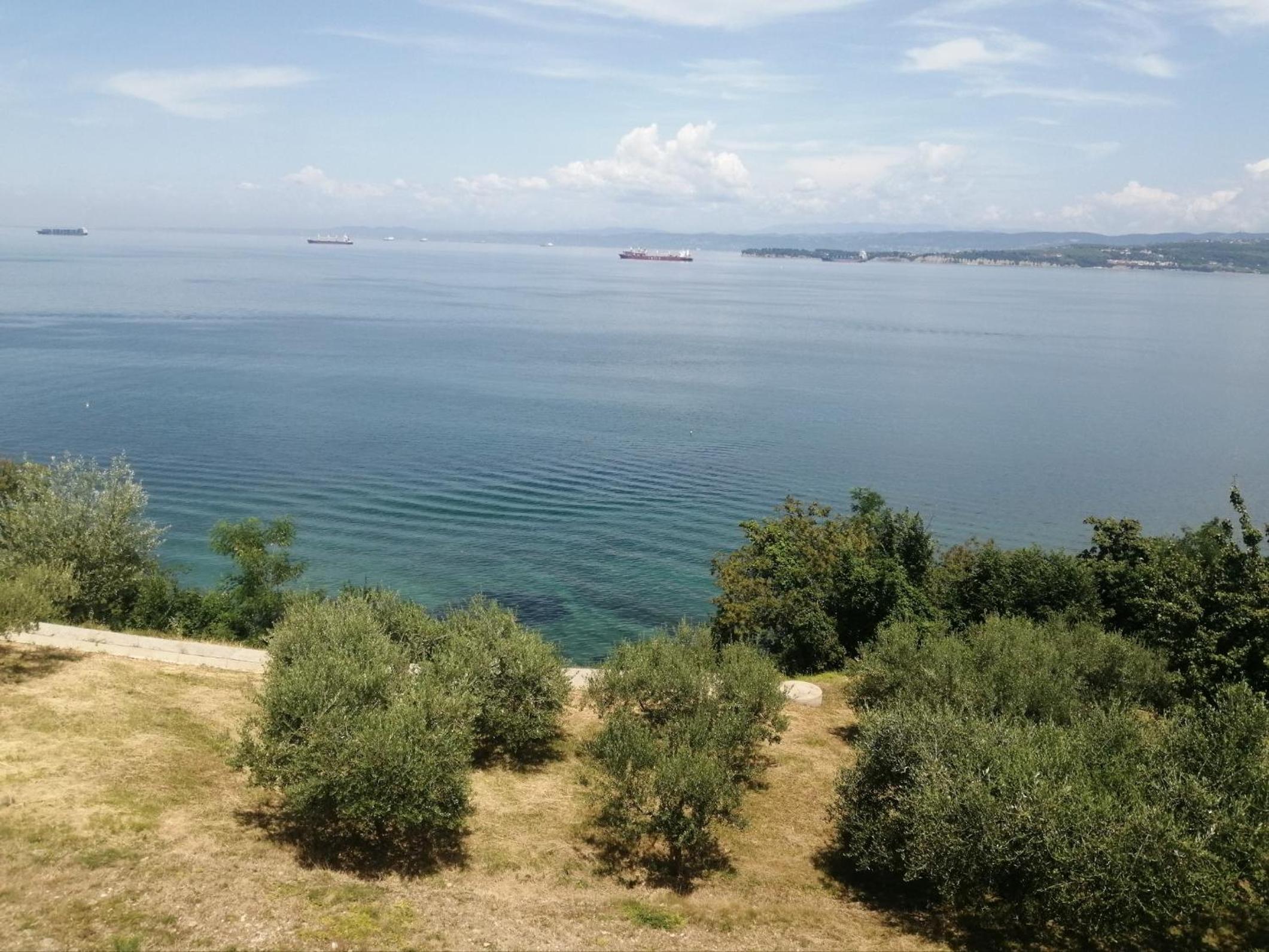 Apartma Panorama