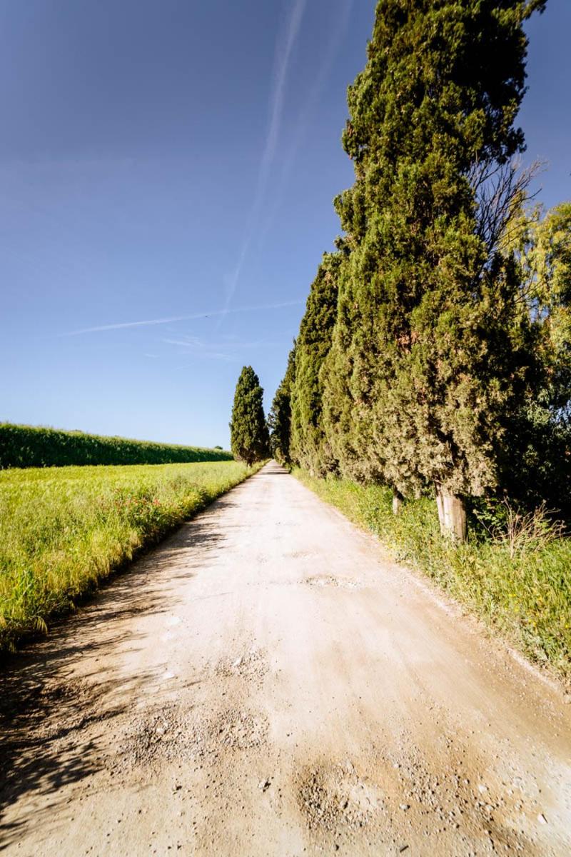 Agriturismo Bio San Mamiliano