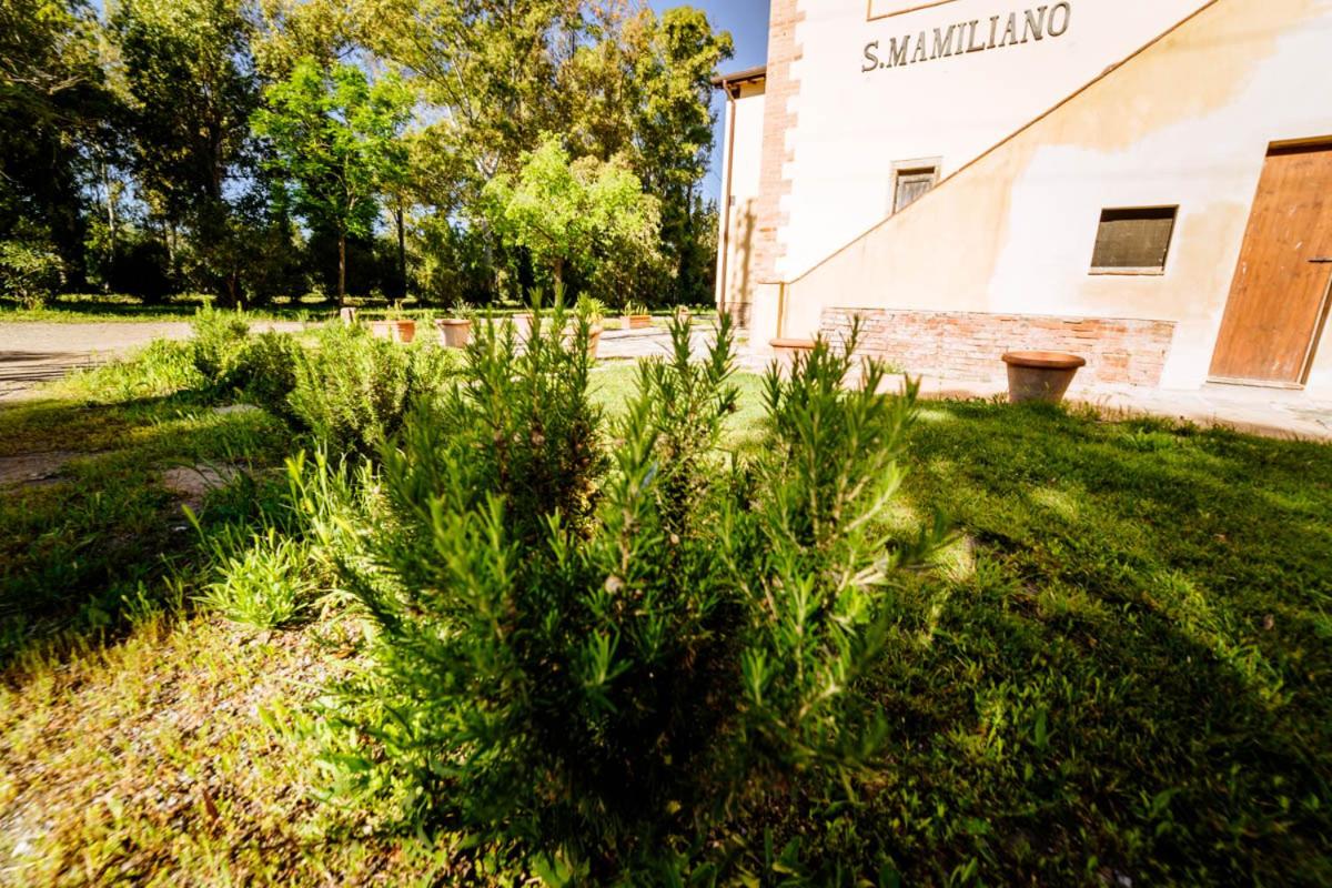 Agriturismo Bio San Mamiliano