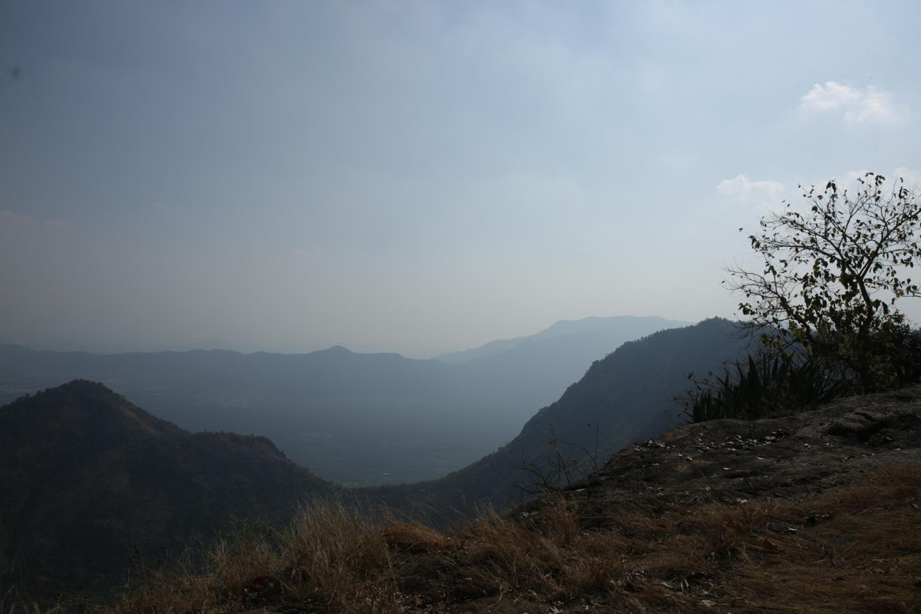 Photo 25