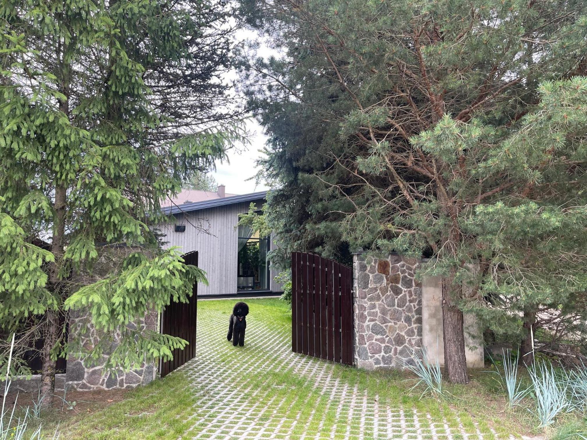 Pine house