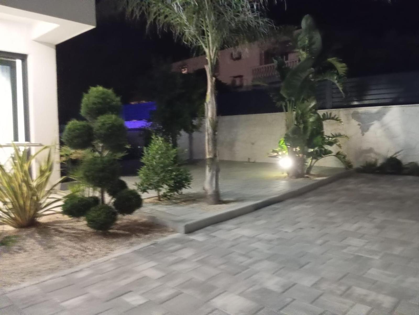 Photo 55