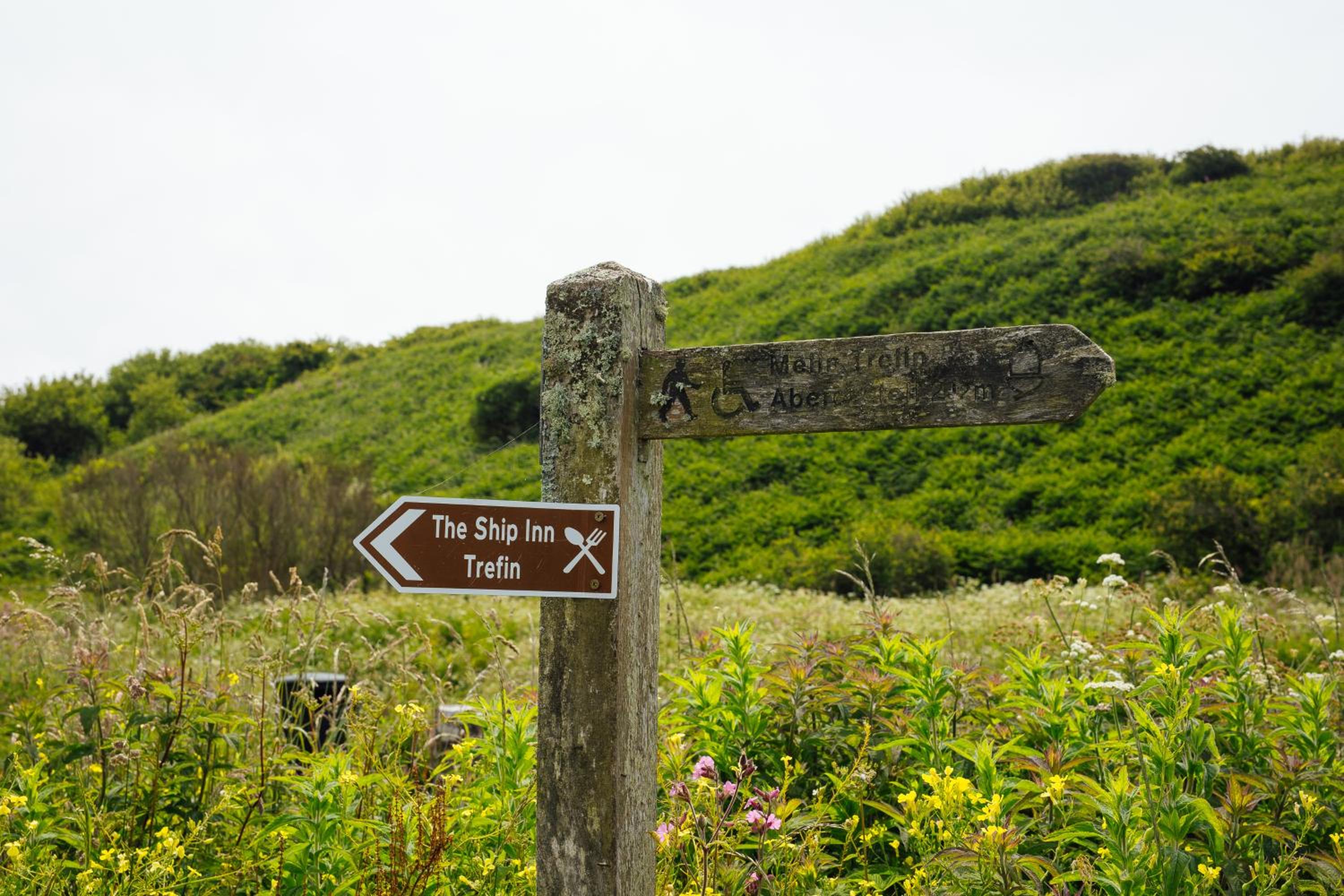 Photo 43
