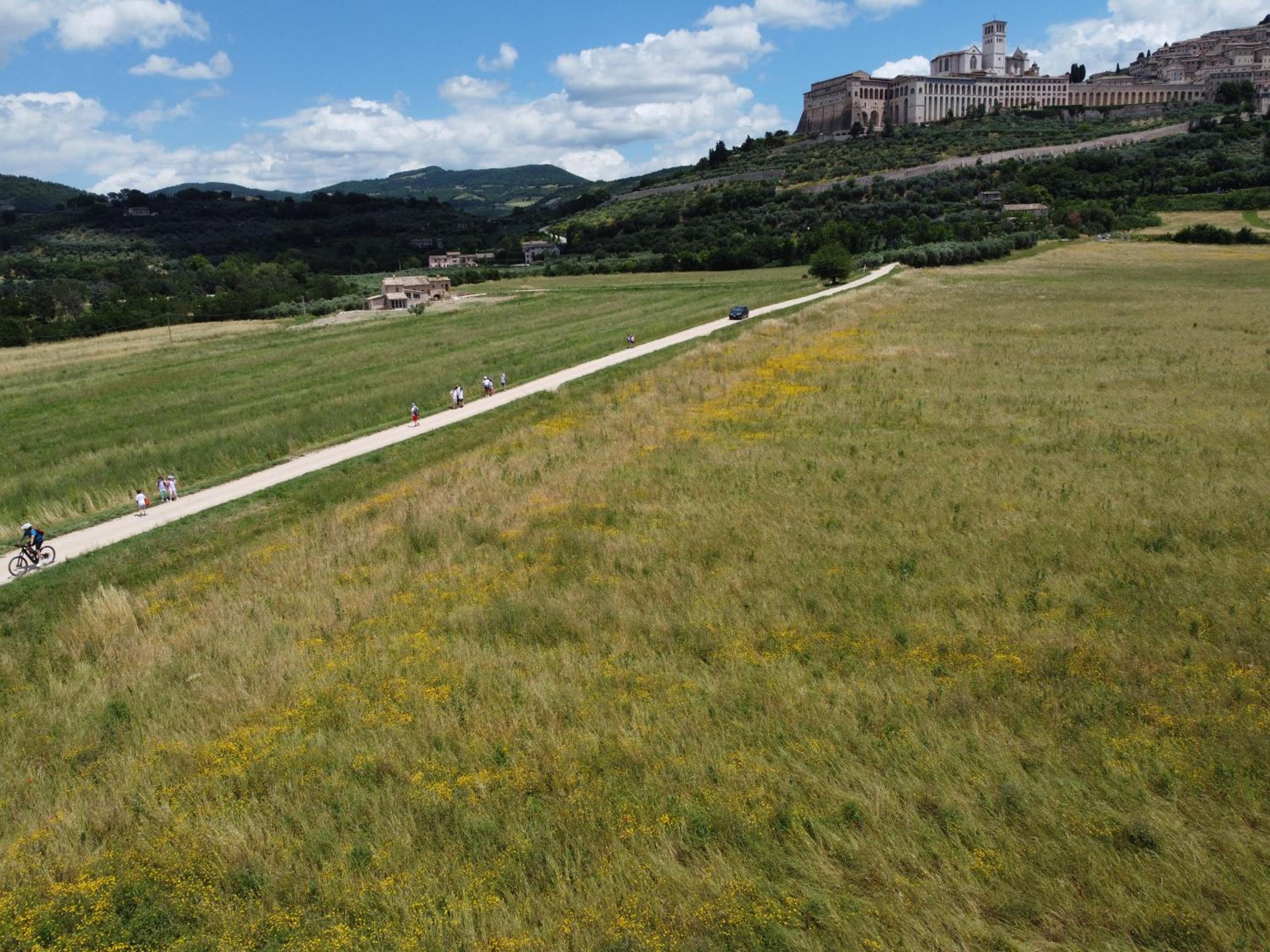 Agriturismo Molinella