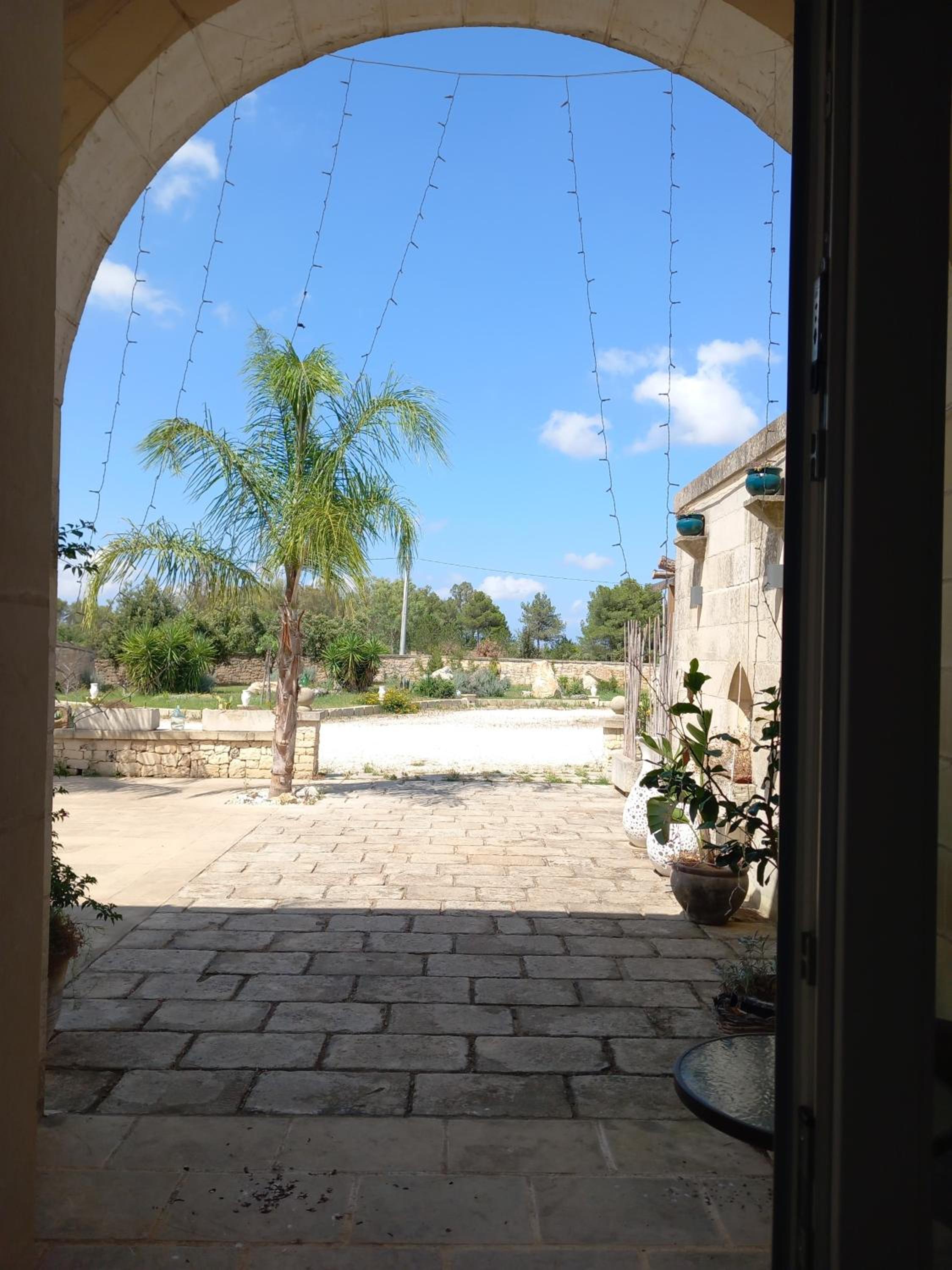 Photo 26