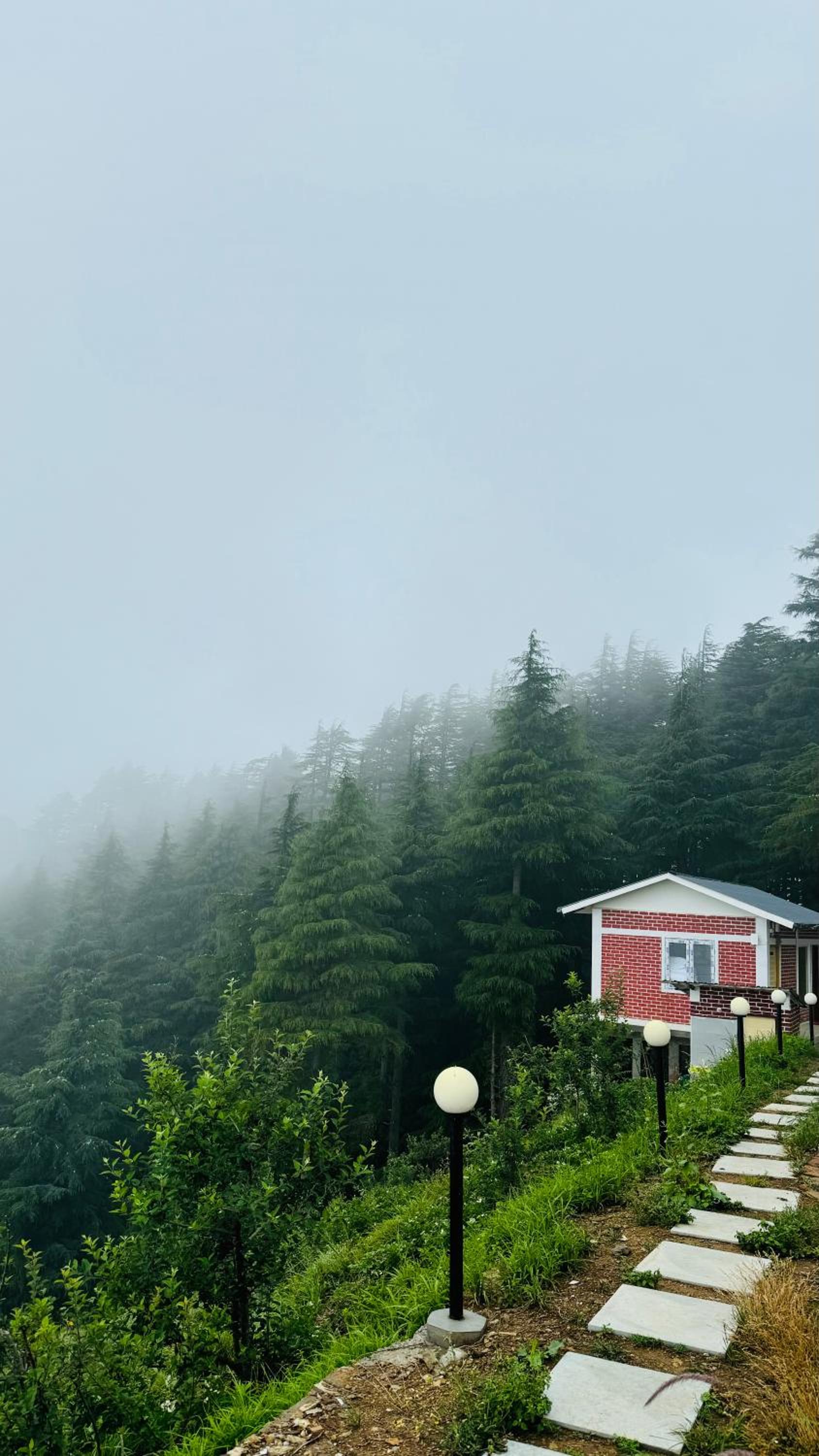 The Deodar Stays view 4
