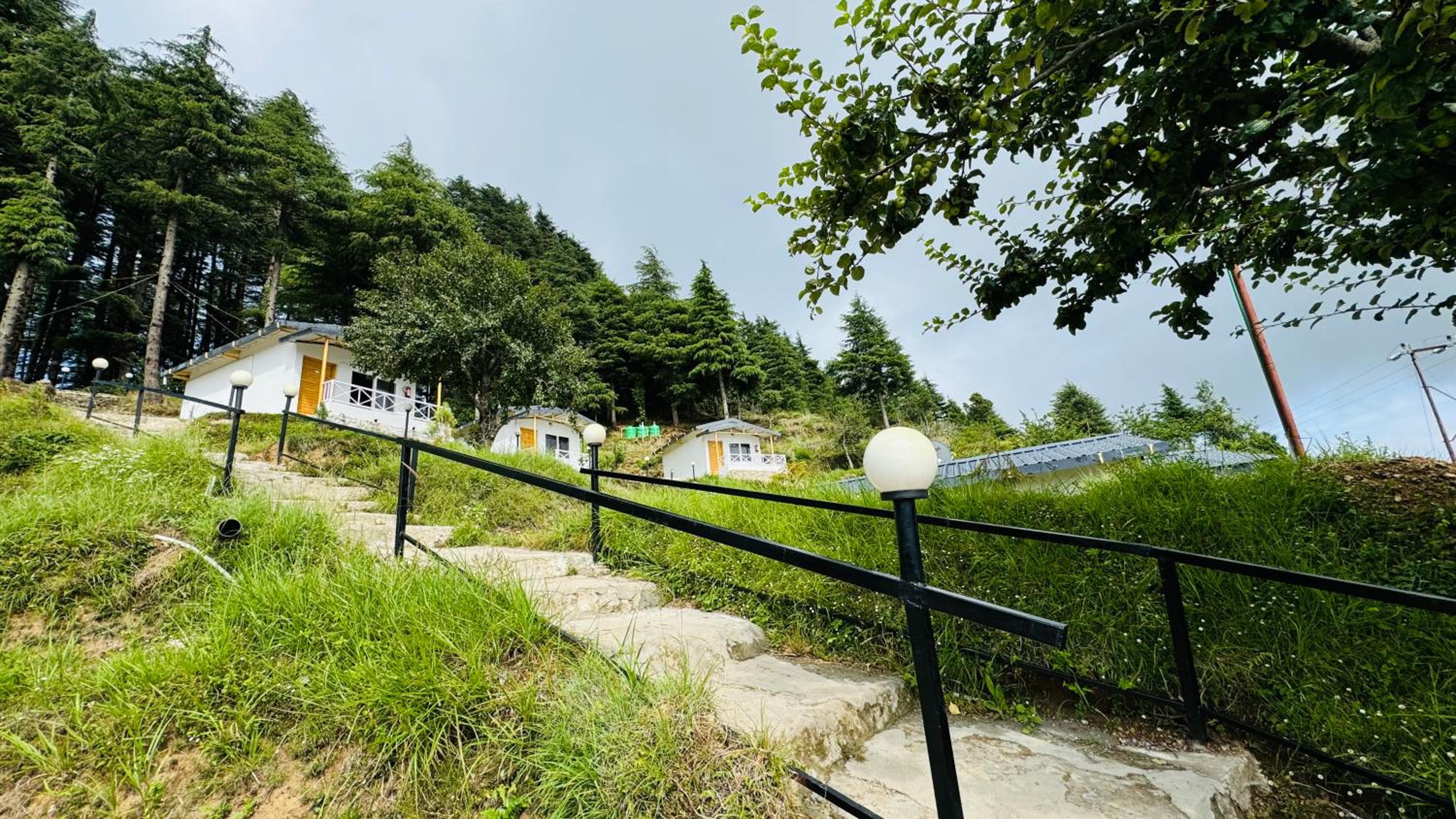 The Deodar Stays view 3