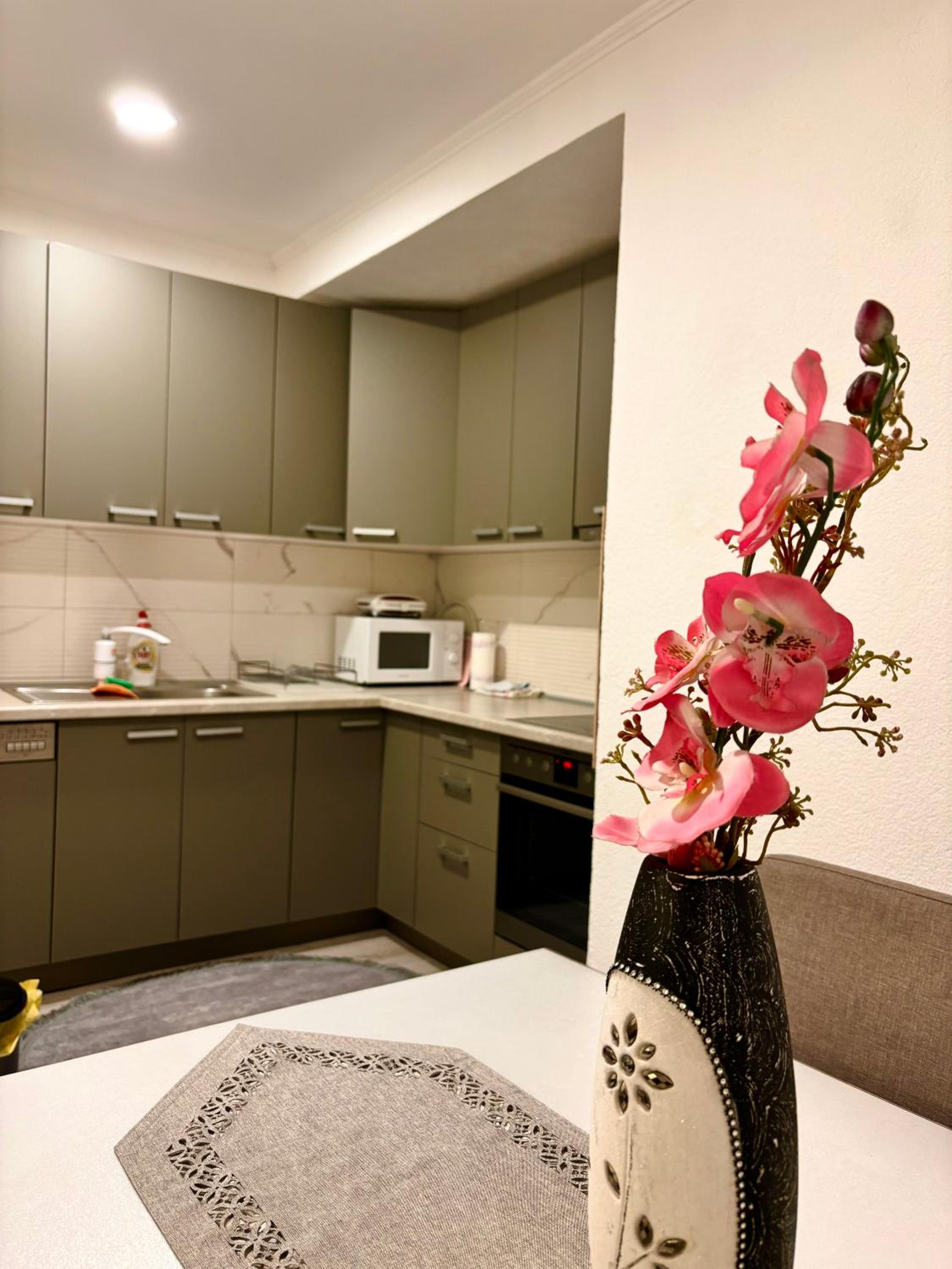 Apartment Asja