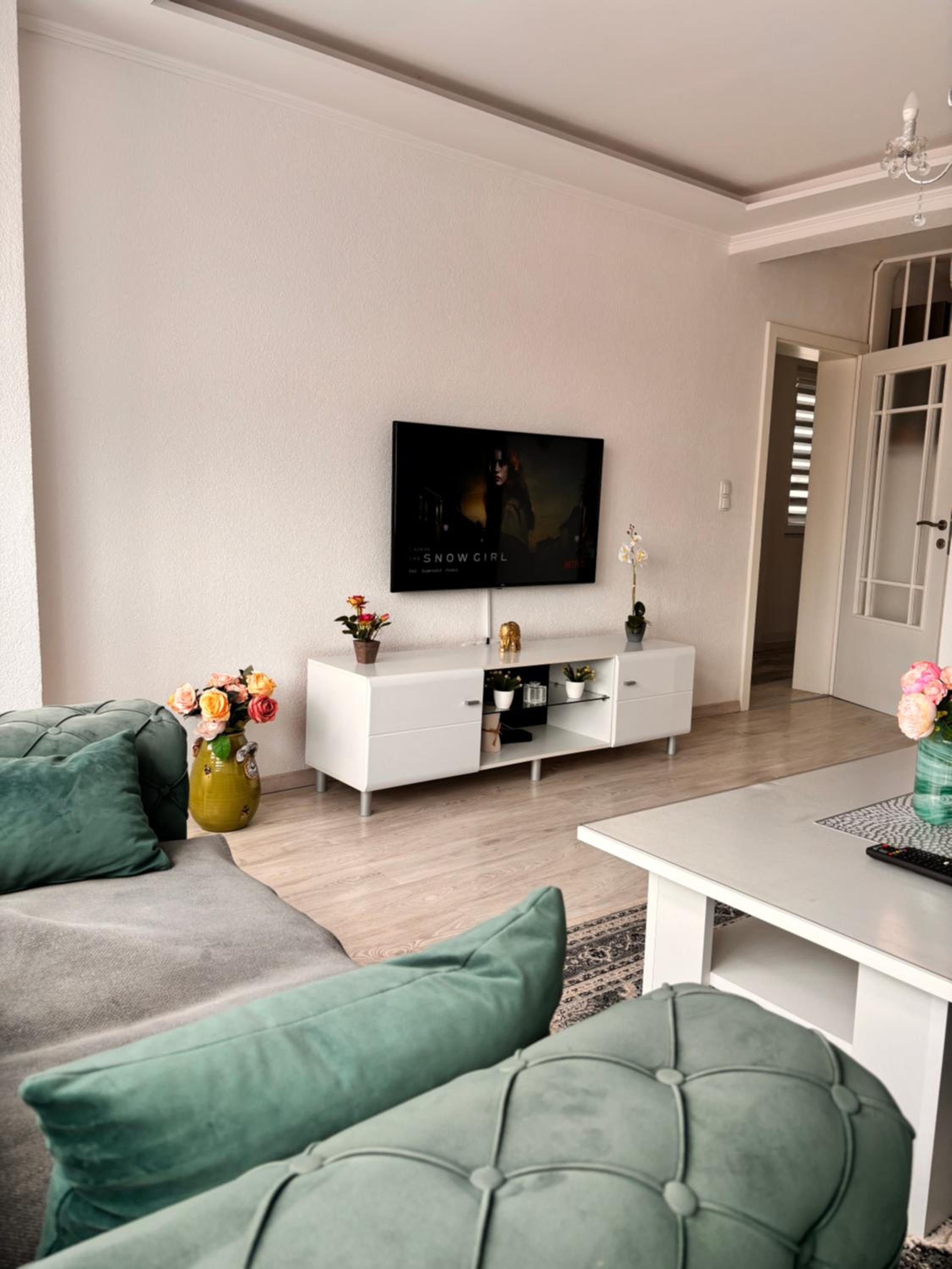 Apartment Asja