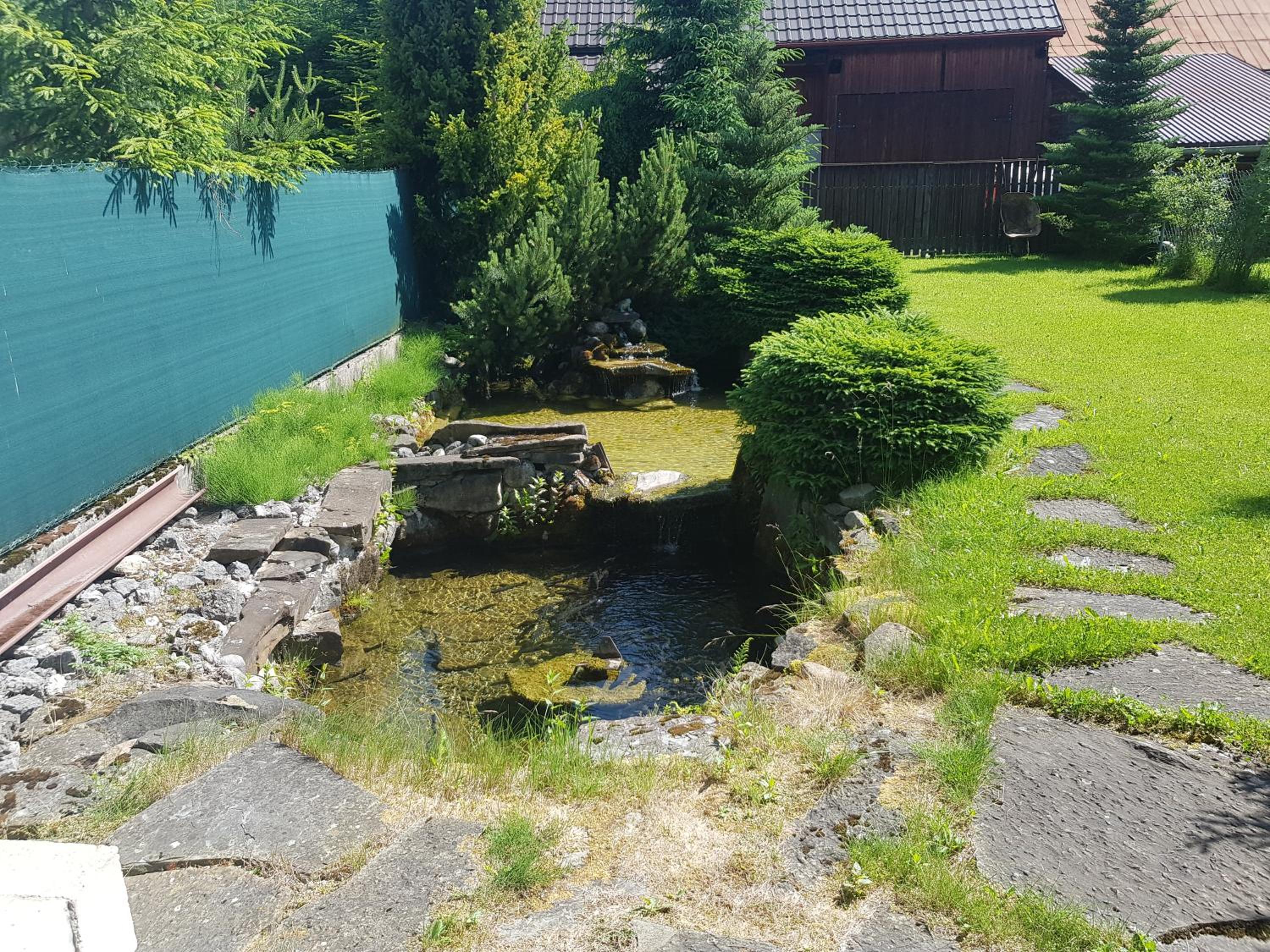 Photo 15