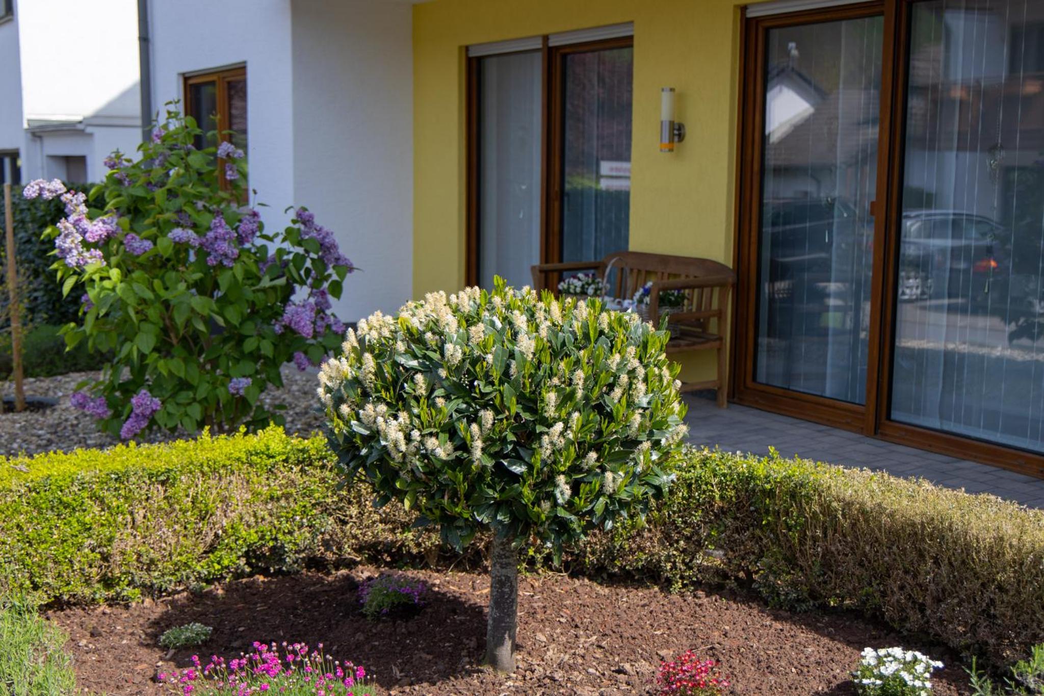 Traumferienwohnung an der Mosel - Gabi Schöneberg