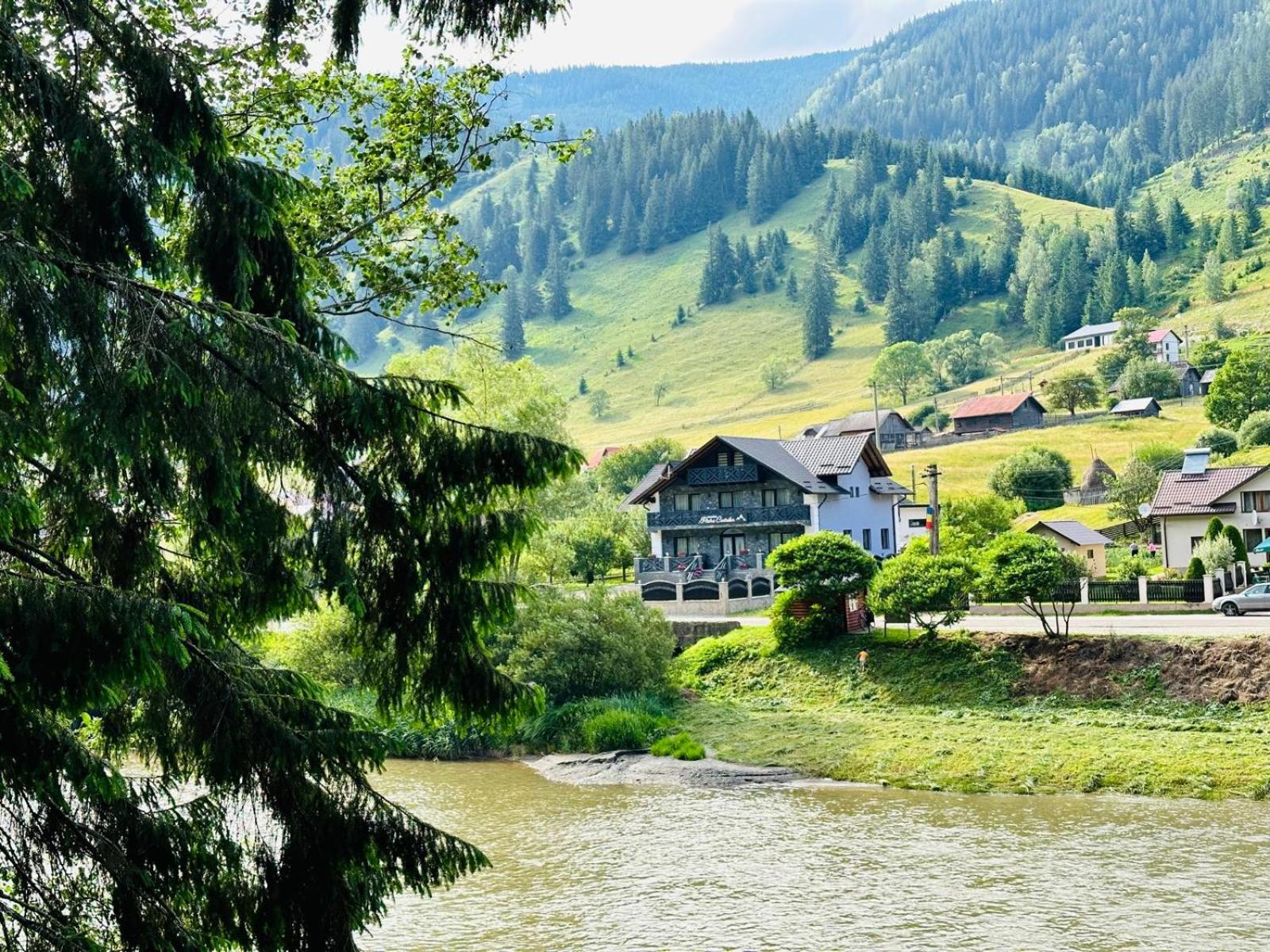 Piatra Codrilor