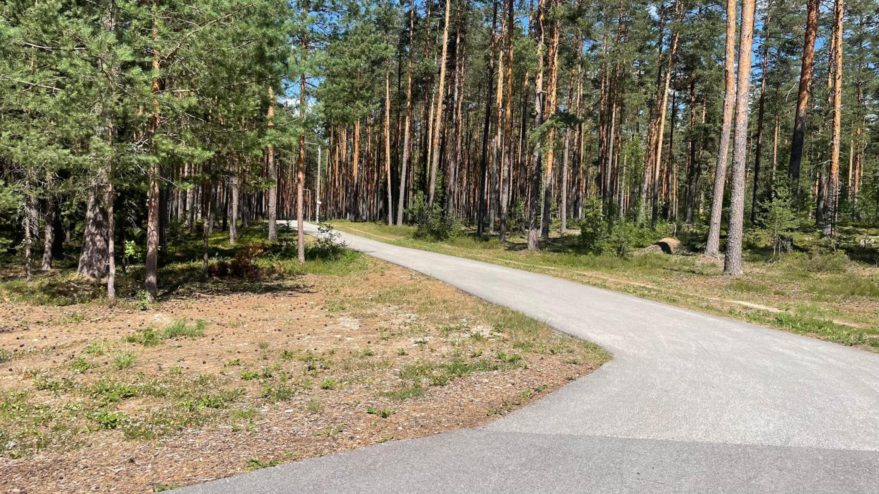 Cozy Summer House Meex - 5km from Võru view 3