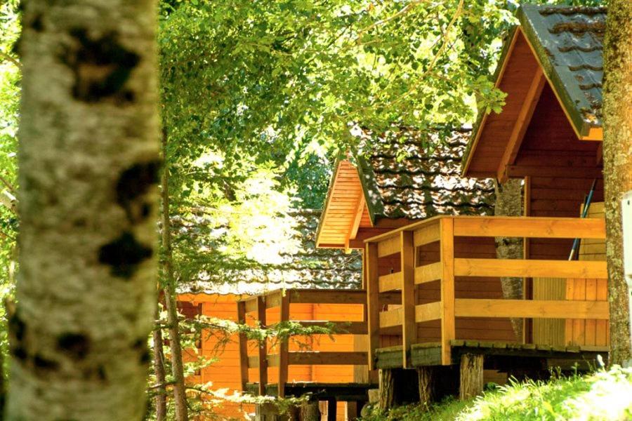 Camping Bedura Park