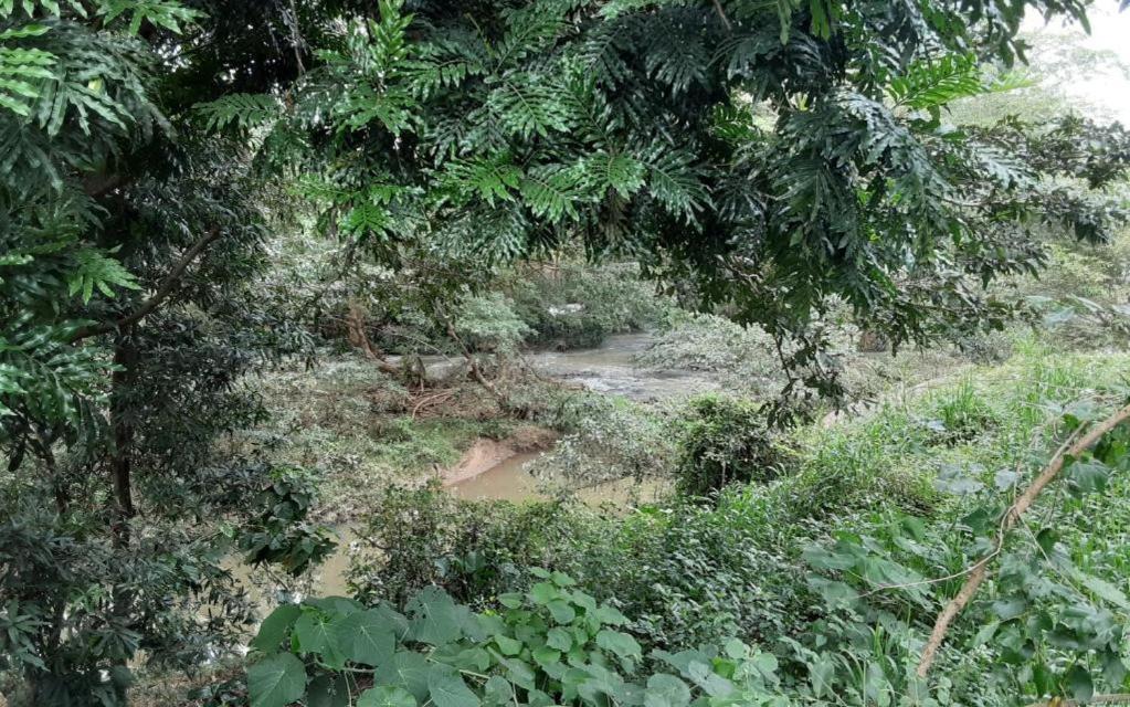 River Forest Camp view 4