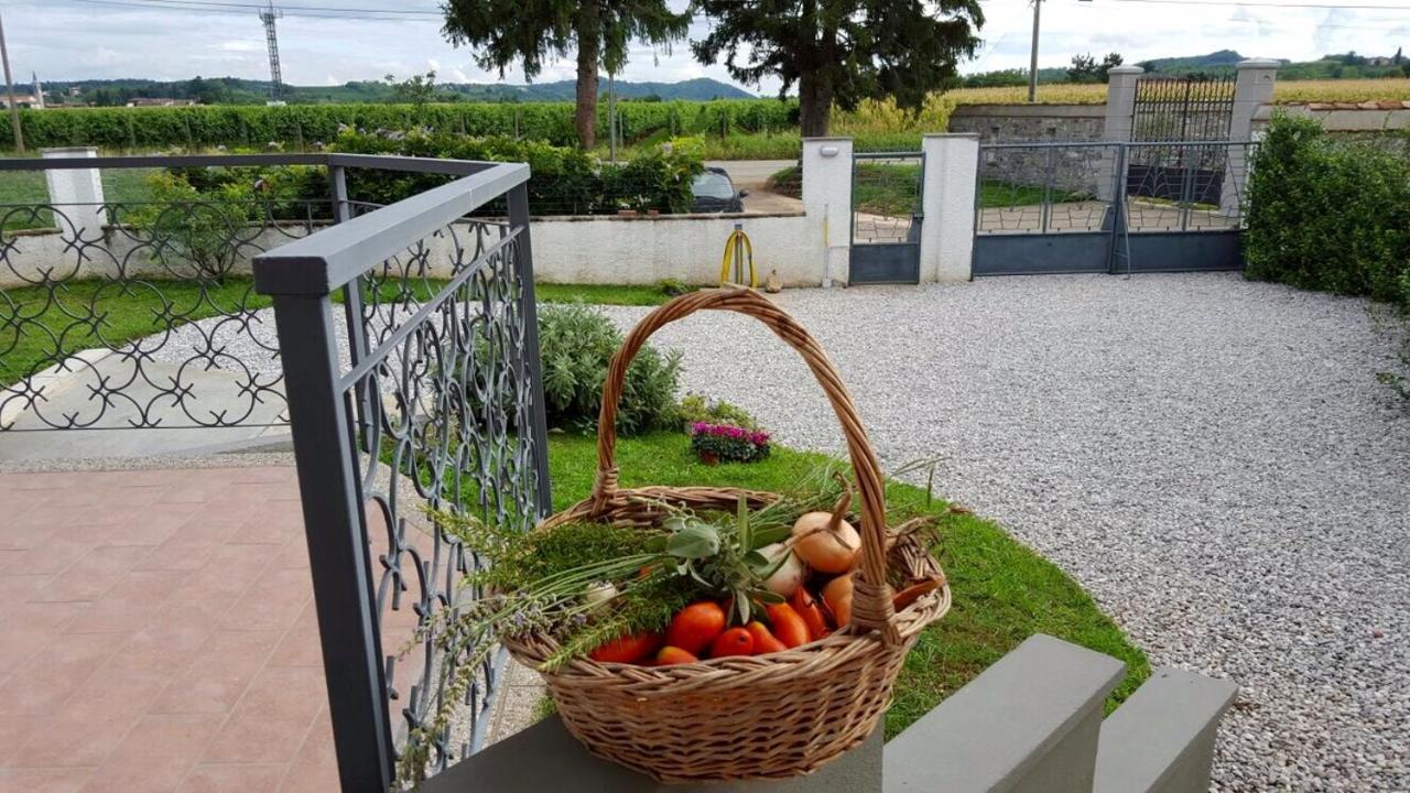 Country House Vineyard Retreat