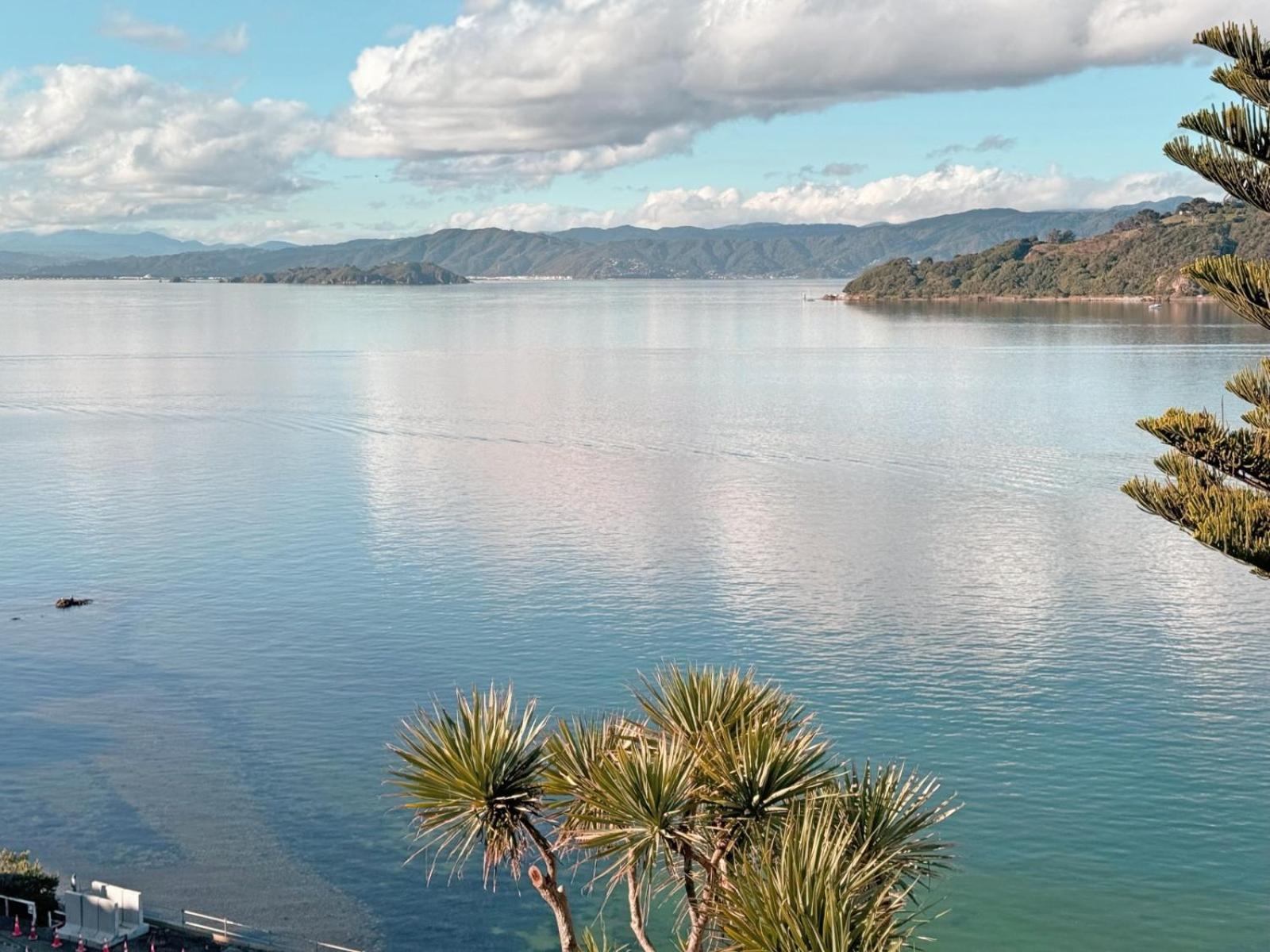 Roseneath Sea-view Haven Wellington view 4