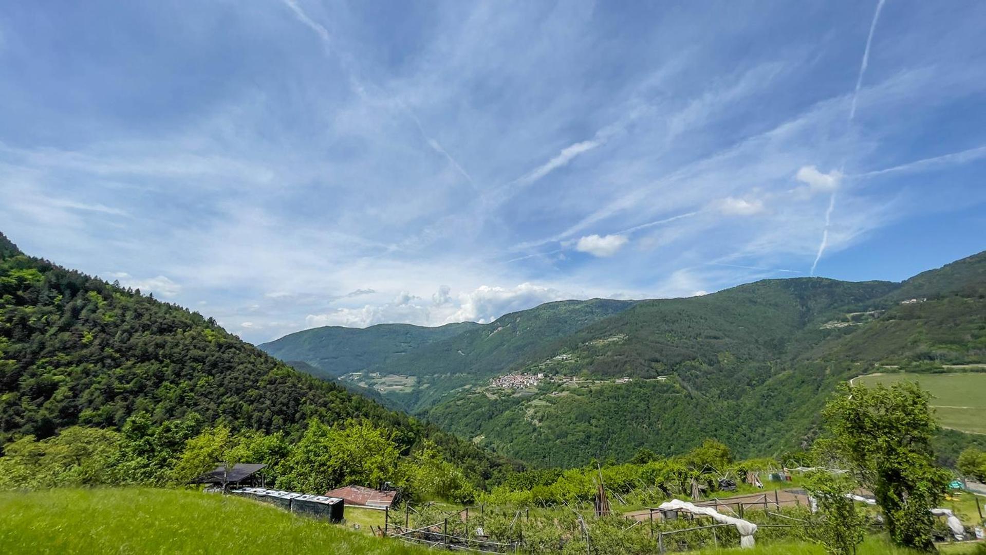 Agriturismo Mirtilla