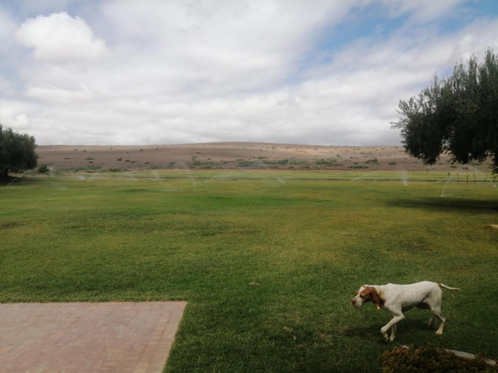 Domaine Lamrah