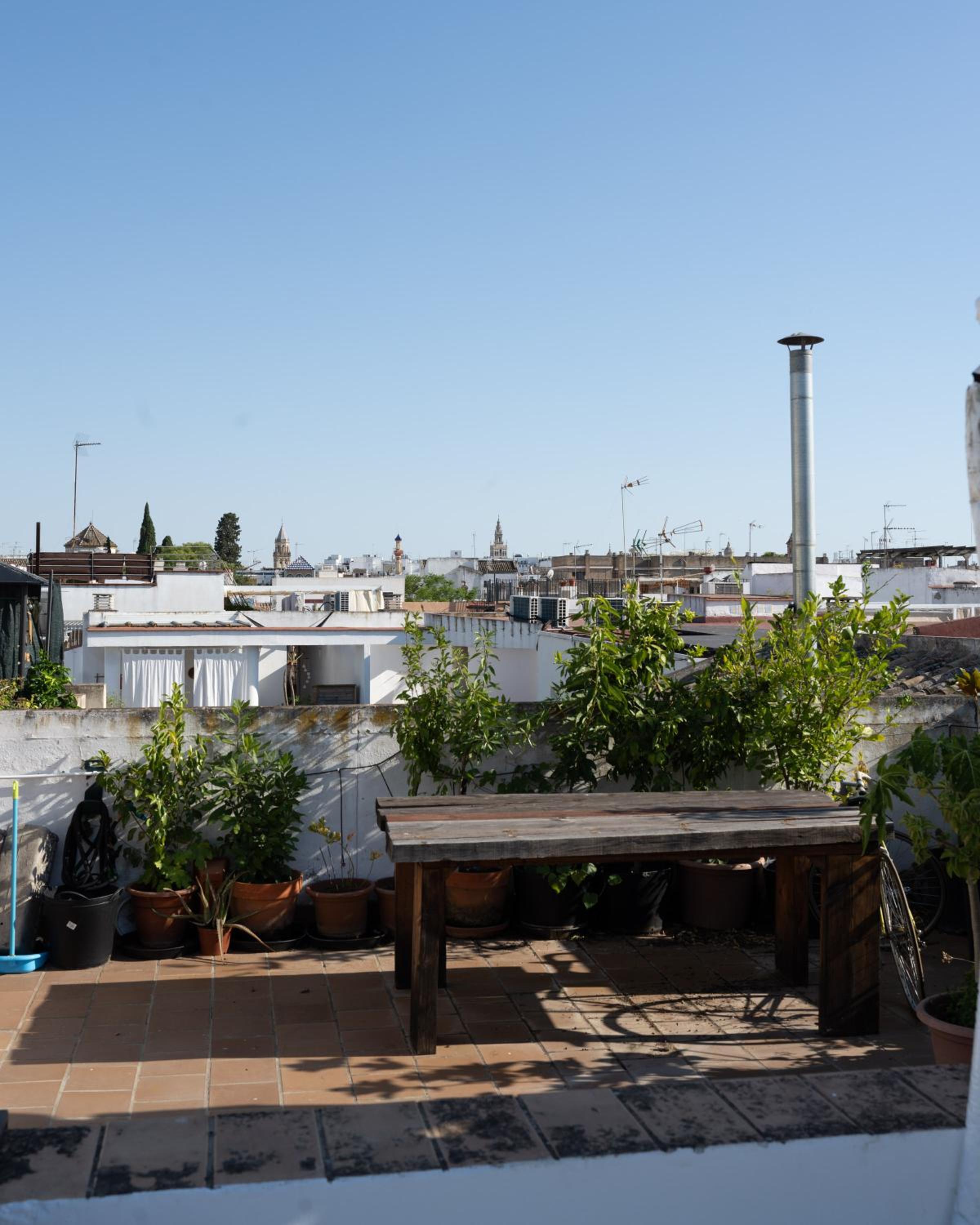 roof