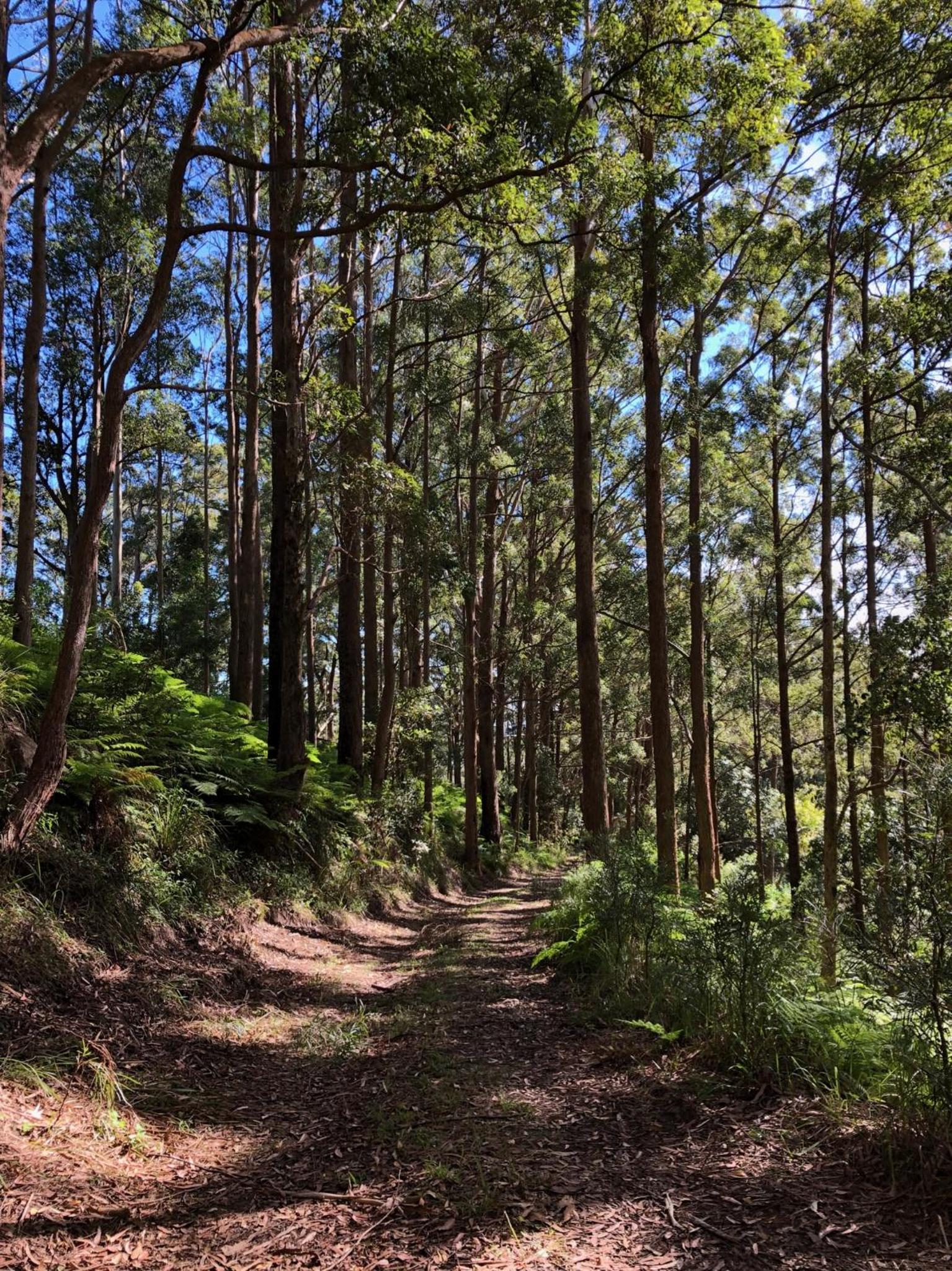 The Ridge at Maleny 3 Bedroom Executive Residence
