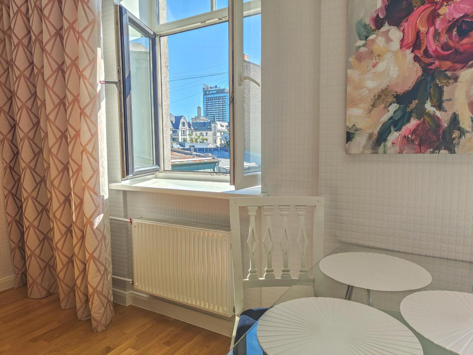 City heart, bright, loft view, free parking view 2