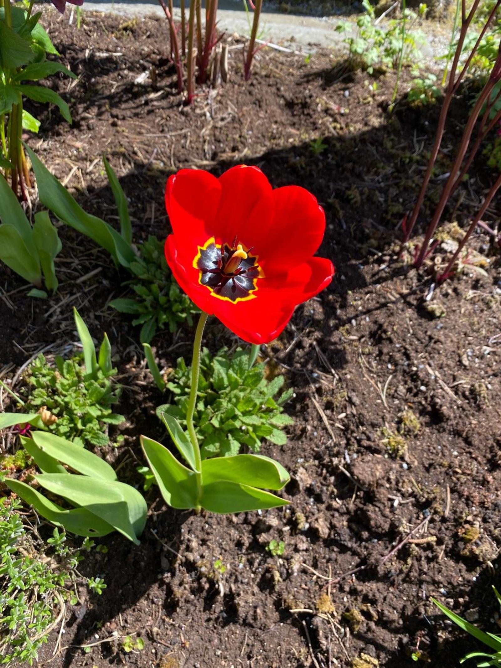 Photo 22