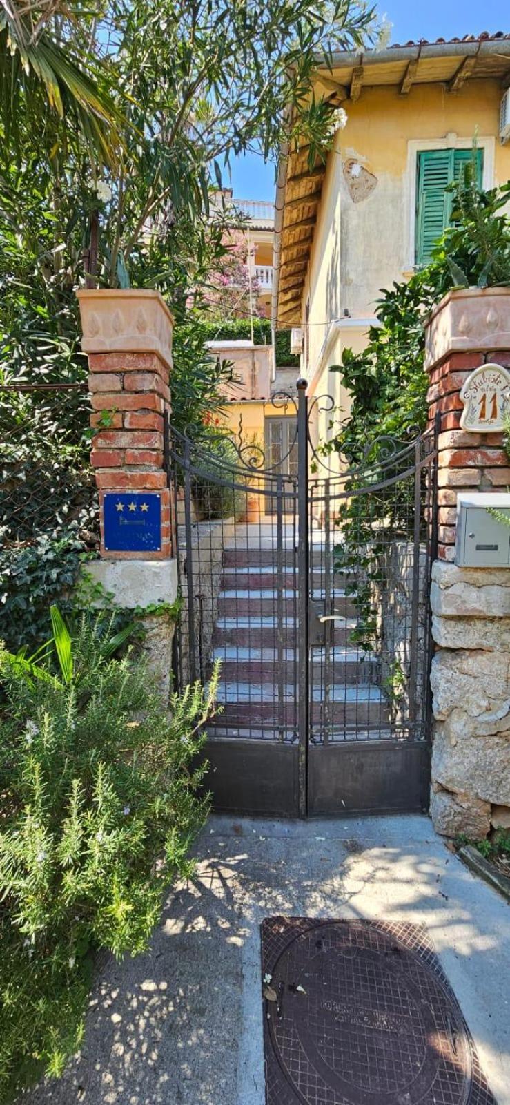 Petite Provence aux Mandarines