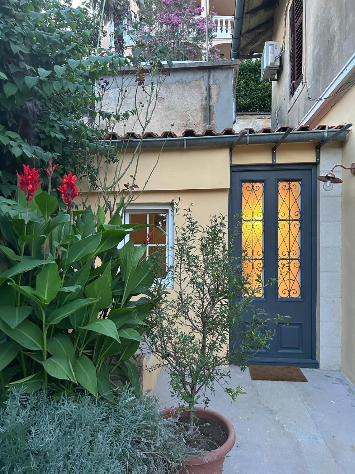 Petite Provence aux Mandarines