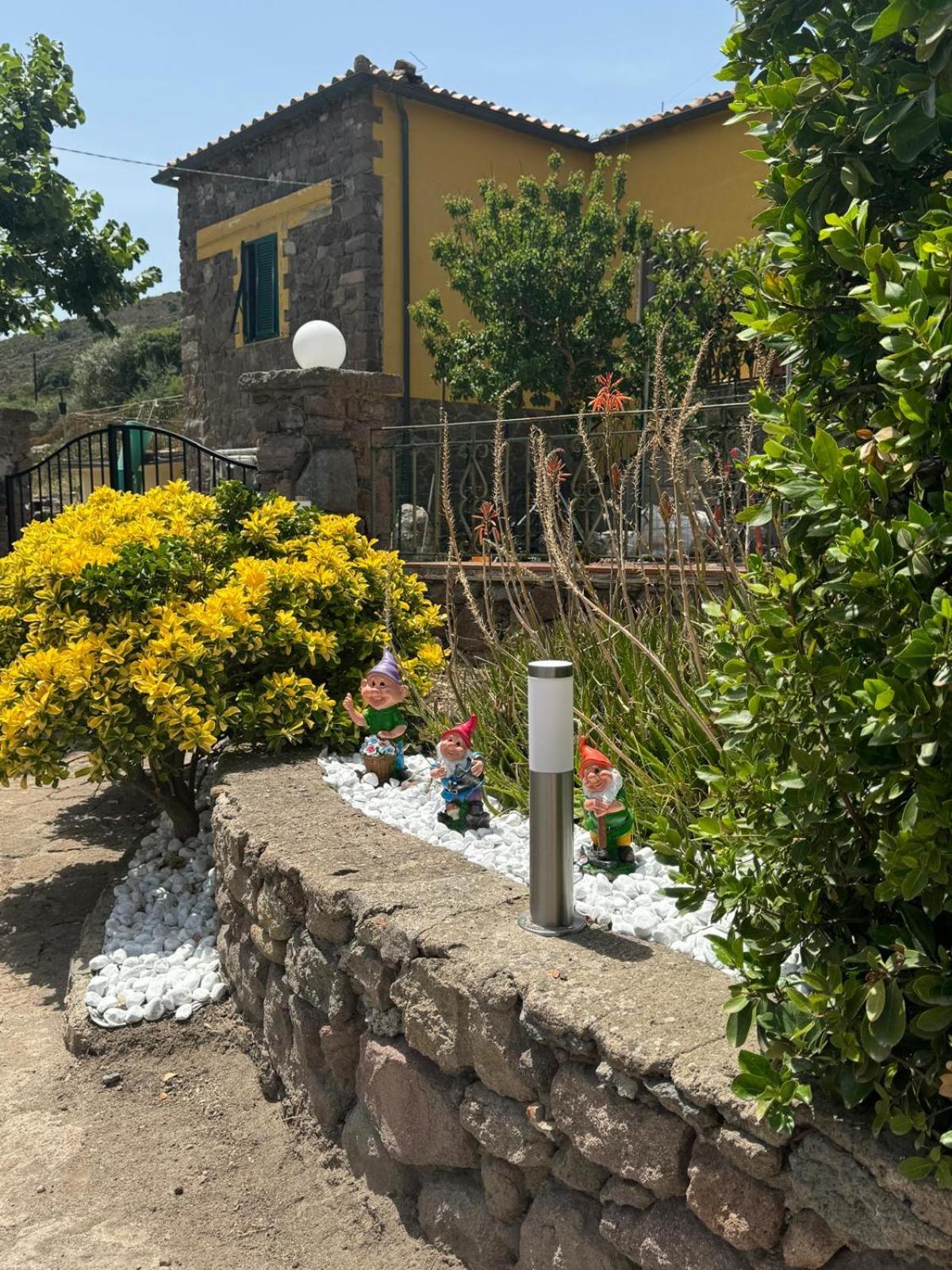 Photo 21