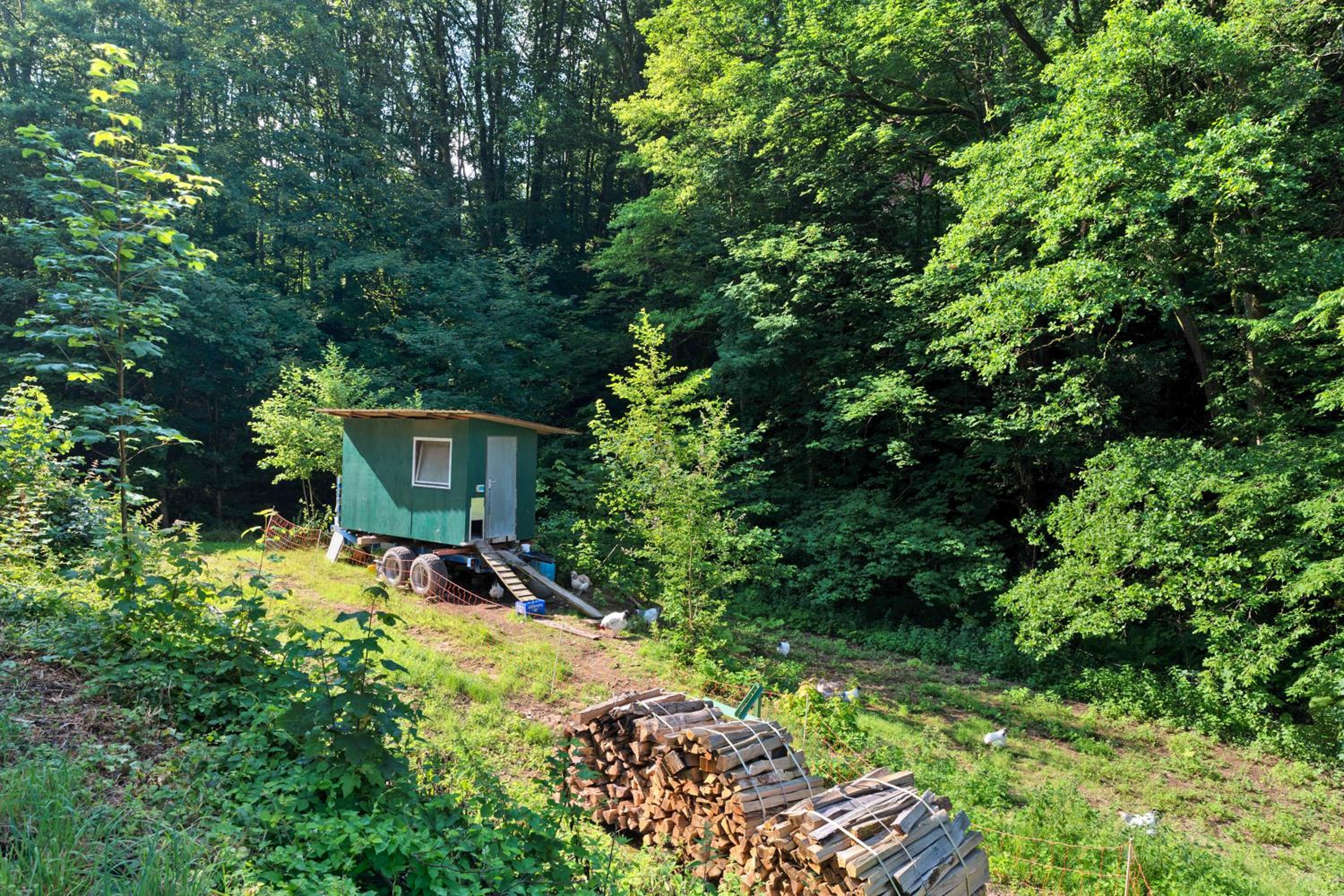 Ferienwohnung am Hirschfelsen
