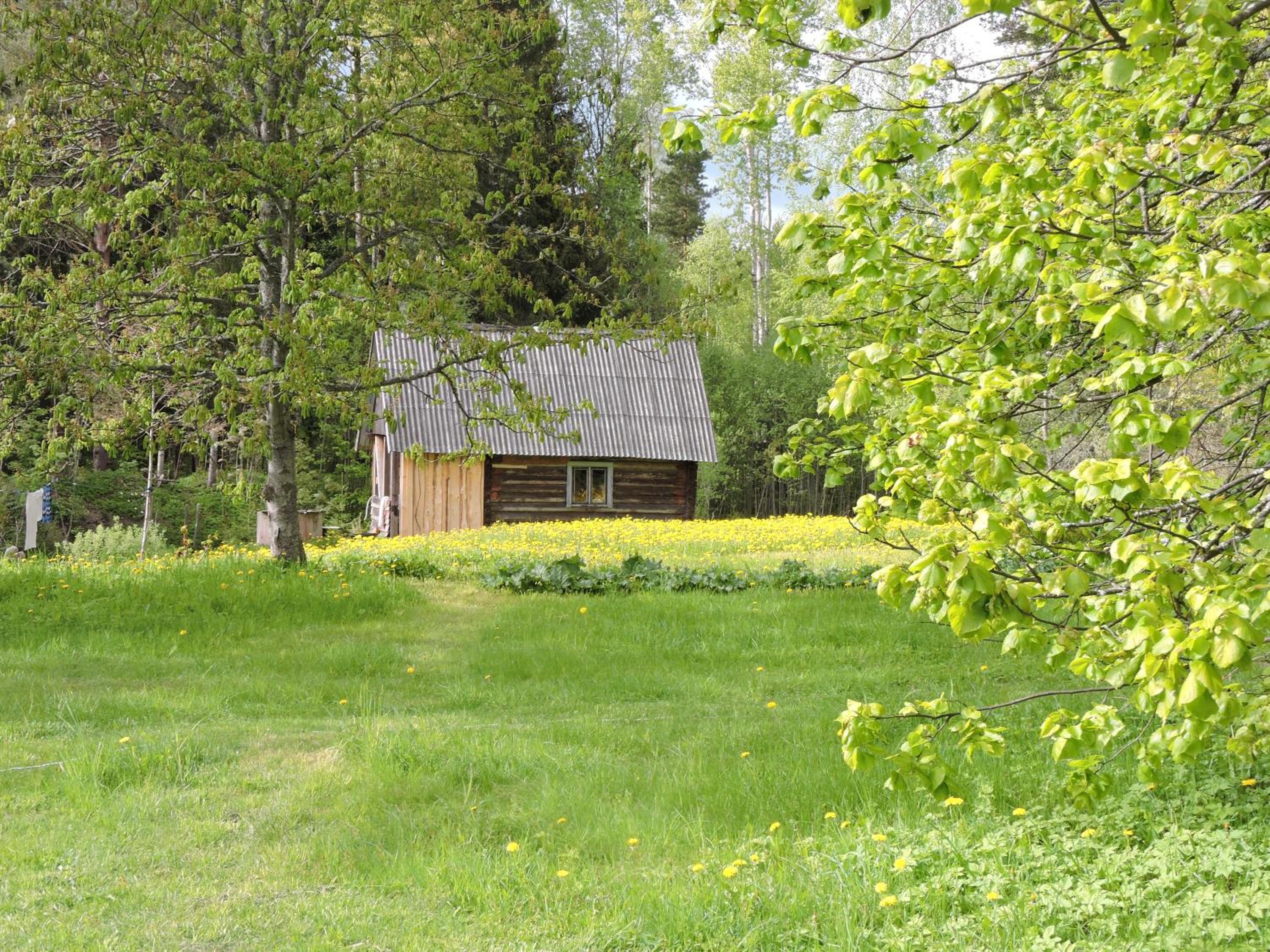 Gāršnieku Tauriņu māja view 4