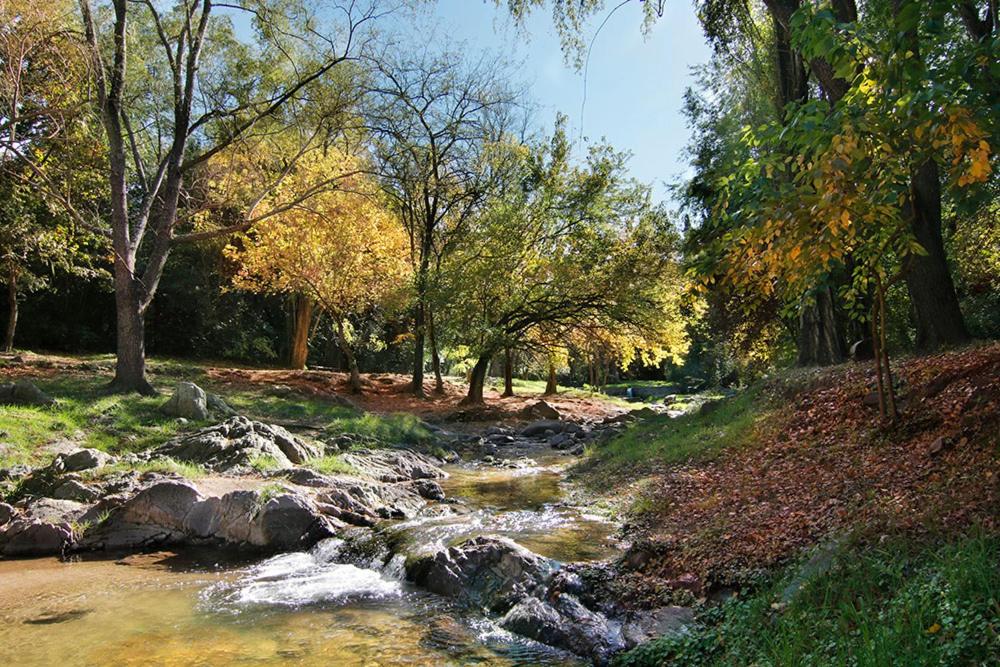Casitas del arroyo Actividades Arte Cultura y descanso en Villa General Belgrano