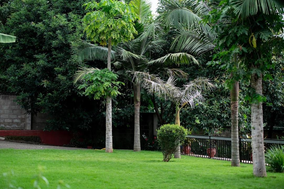 Wonderland Home