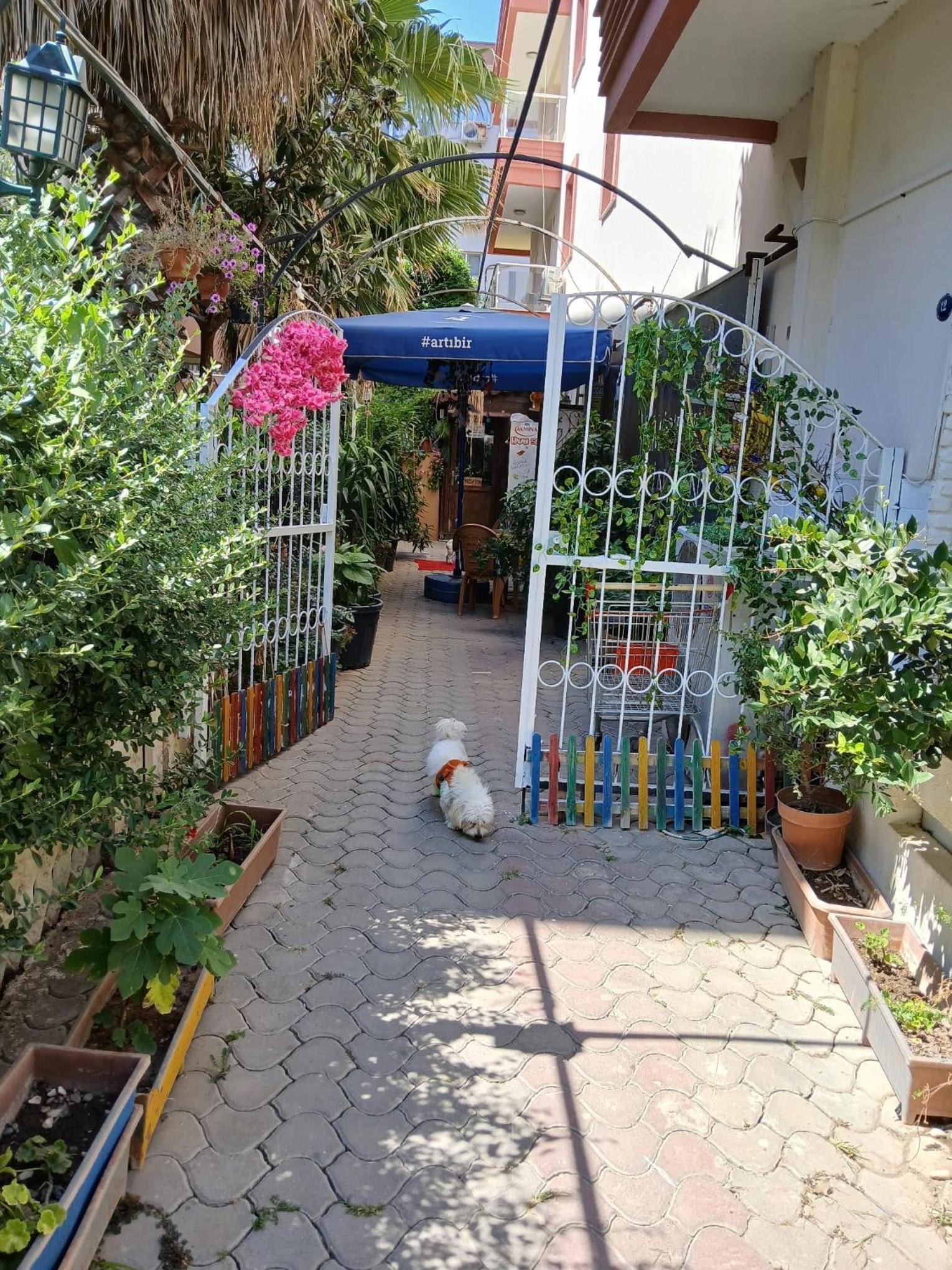 Es Apart Otel