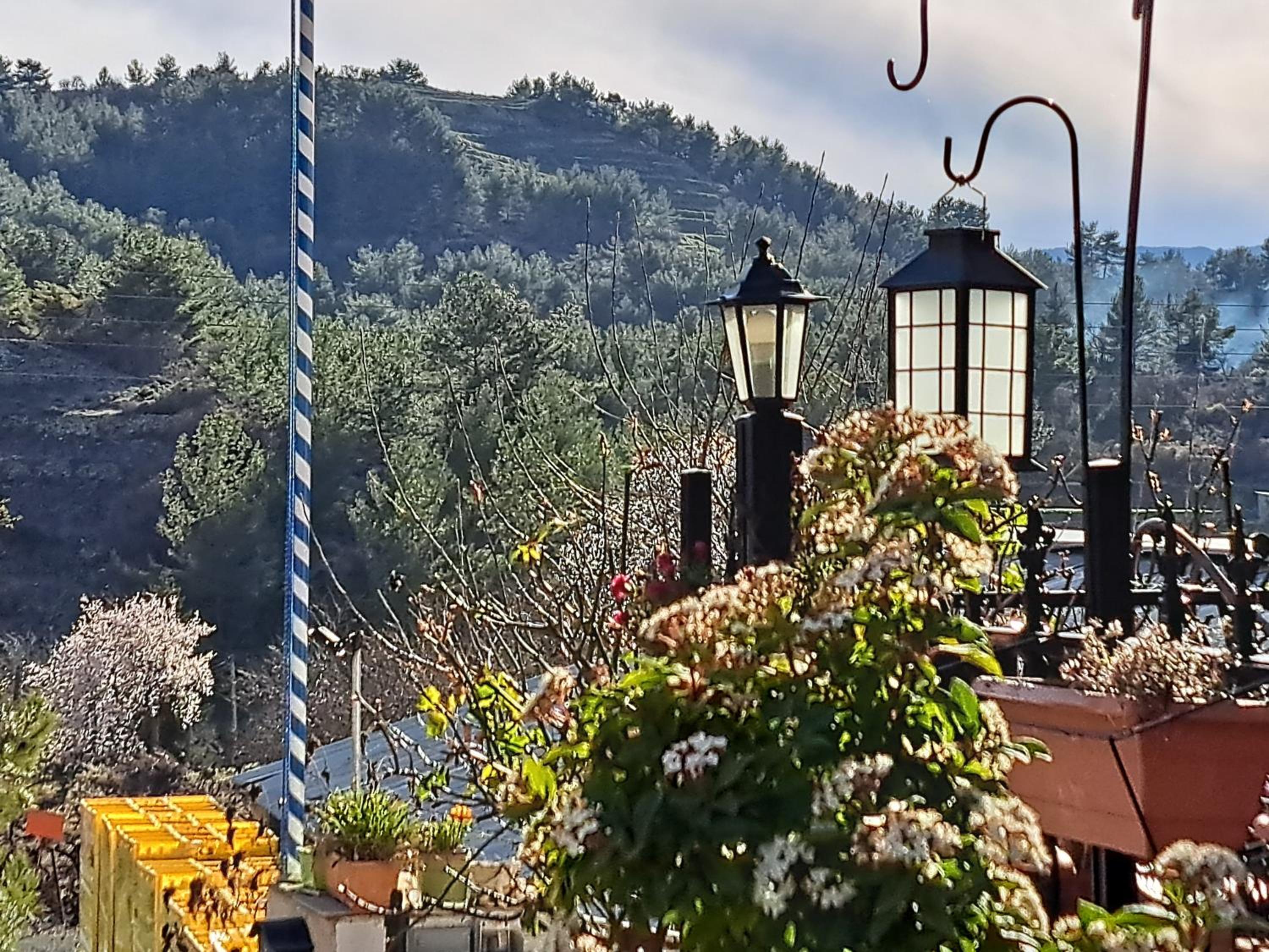 Kyperounta Troodos mountain house